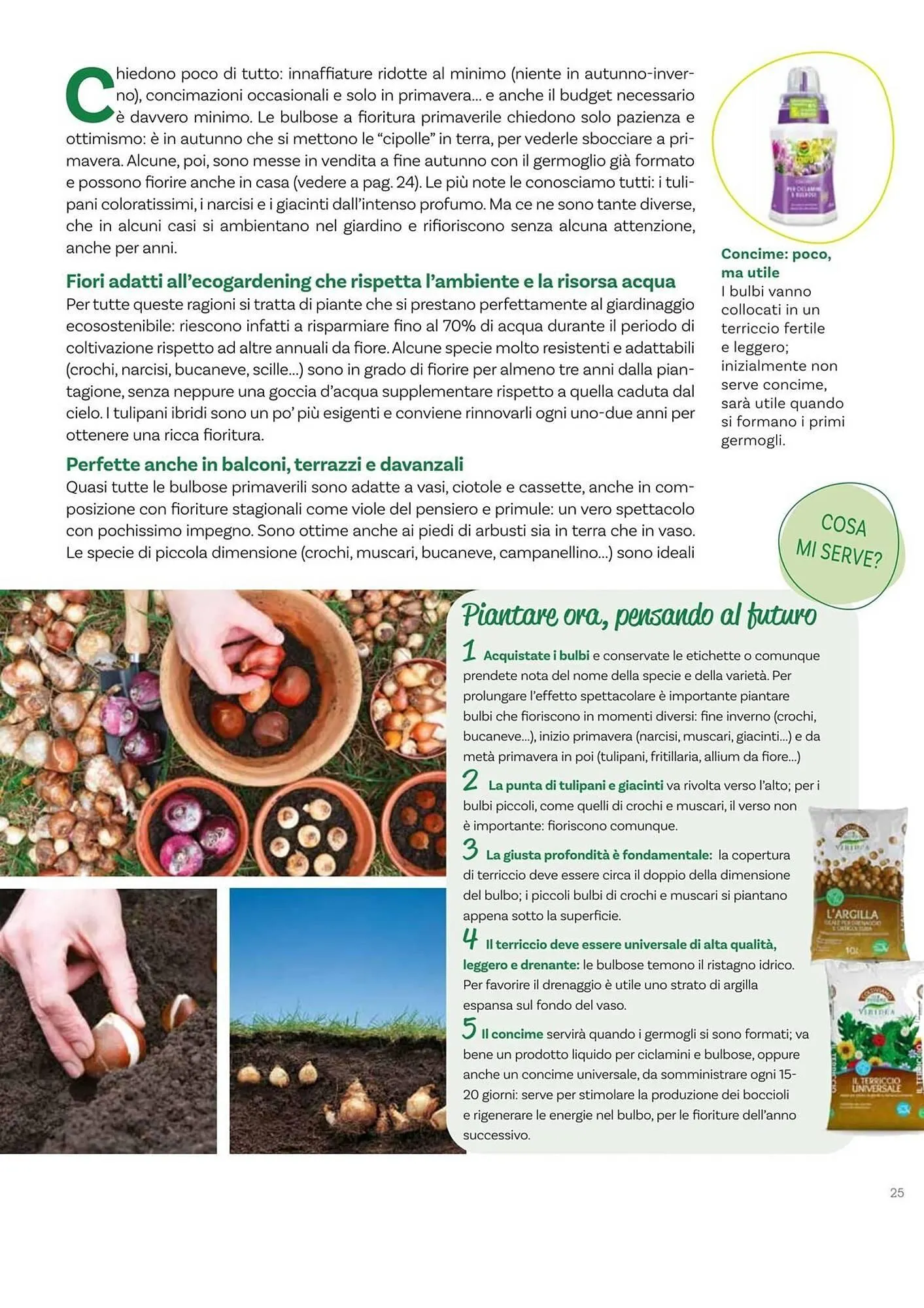 Volantino Viridea da 17 ottobre a 22 dicembre di 2025 - Pagina del volantino 25