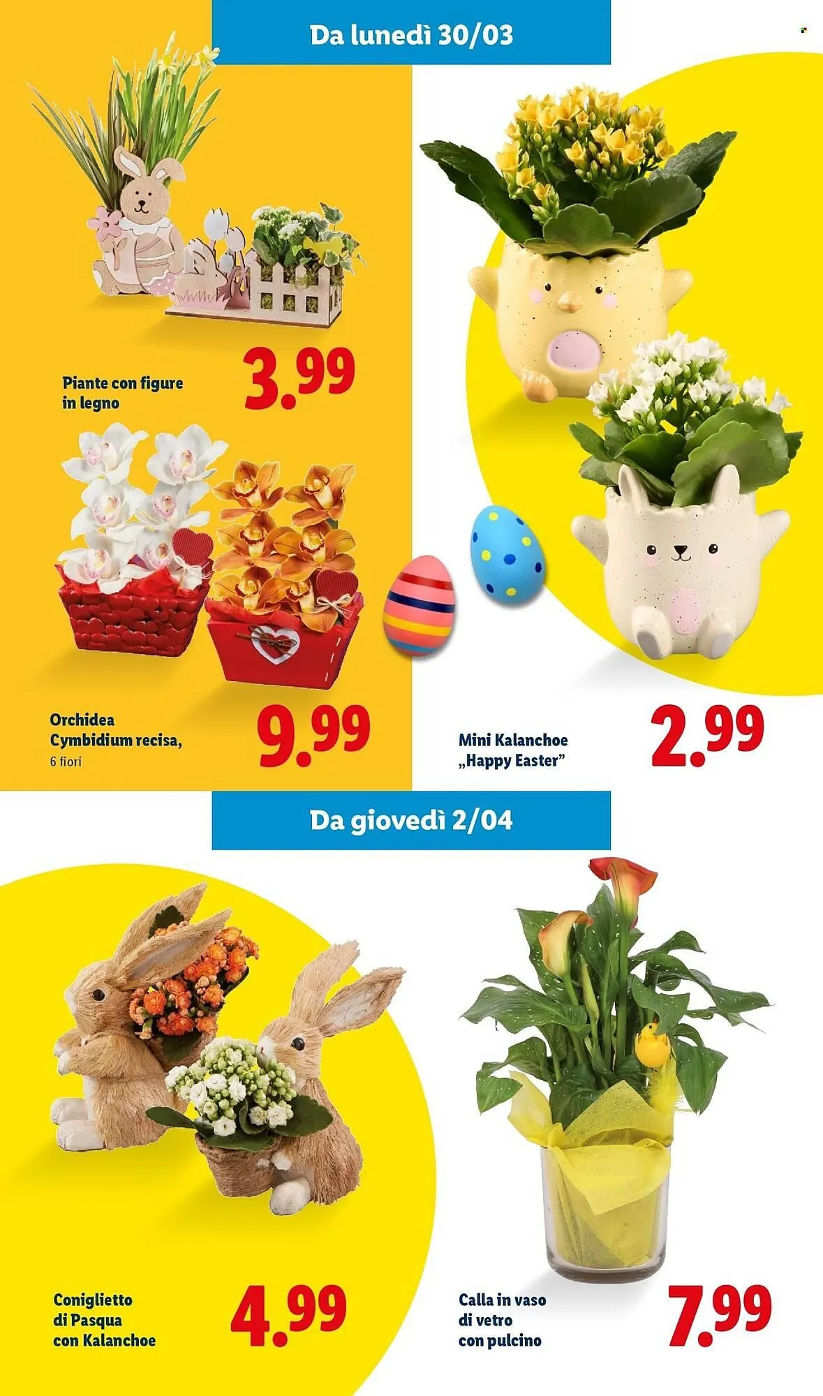 Volantino Lidl da 2 marzo a 5 aprile di 2026 - Pagina del volantino 46