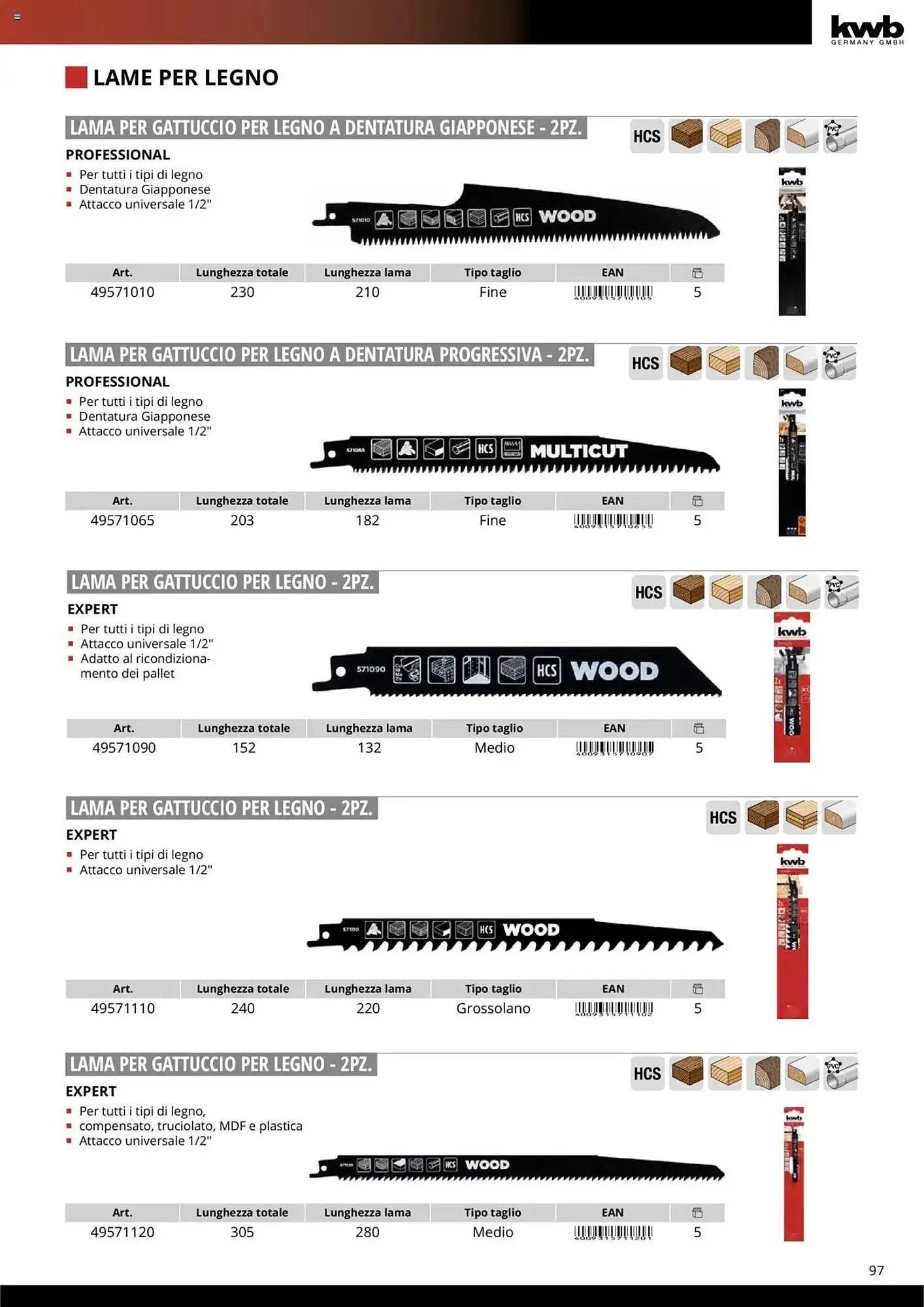 Volantino Einhell da 10 ottobre a 31 dicembre di 2025 - Pagina del volantino 99