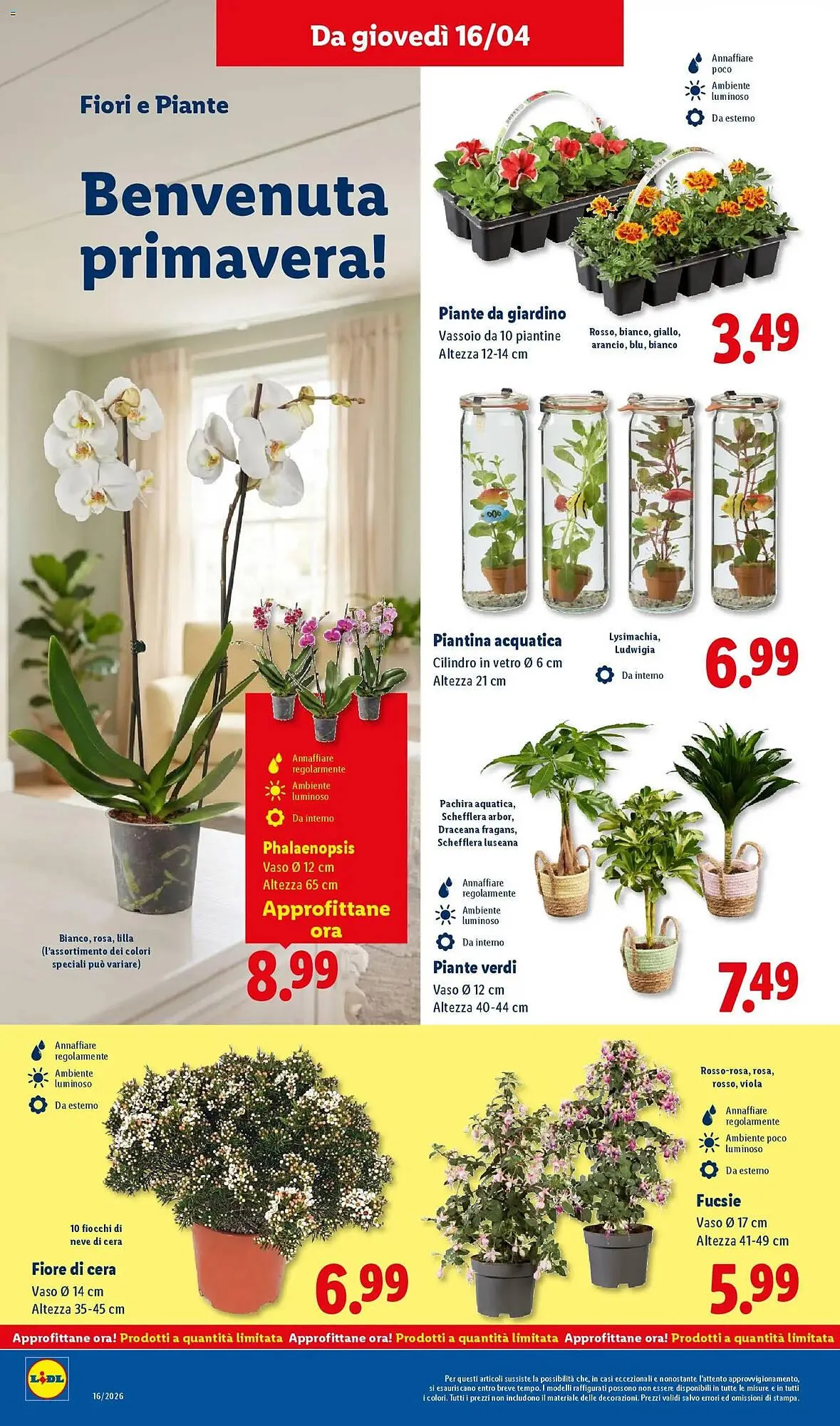 Volantino Lidl da 16 aprile a 22 aprile di 2026 - Pagina del volantino 26