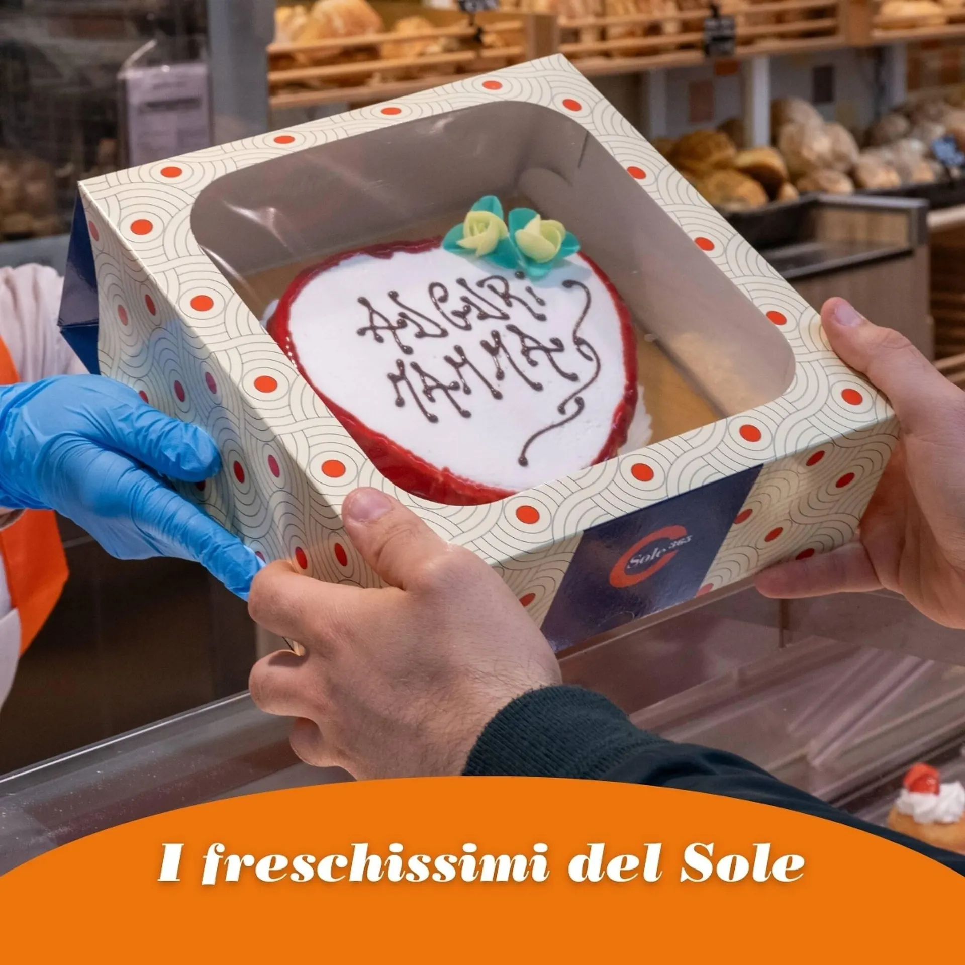 Volantino Sole 365 - 1