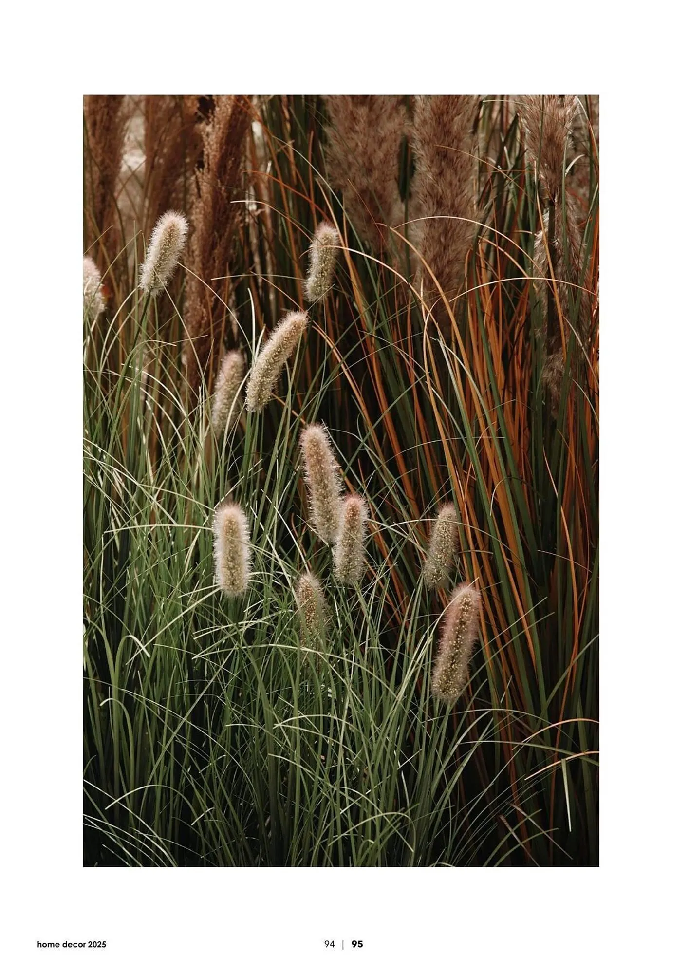 Volantino Bizzotto da 3 febbraio a 31 dicembre di 2025 - Pagina del volantino 96