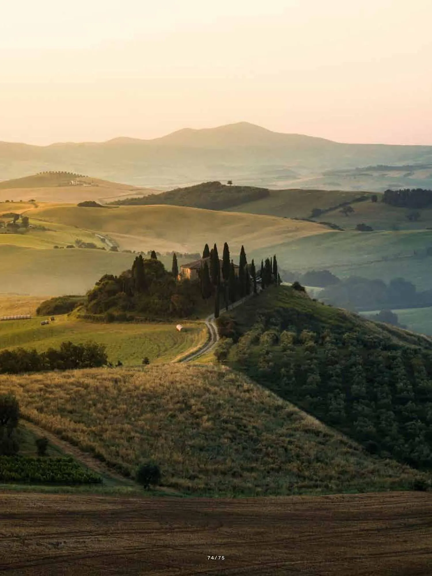 Volantino Fazzini da 21 ottobre a 31 dicembre di 2025 - Pagina del volantino 78