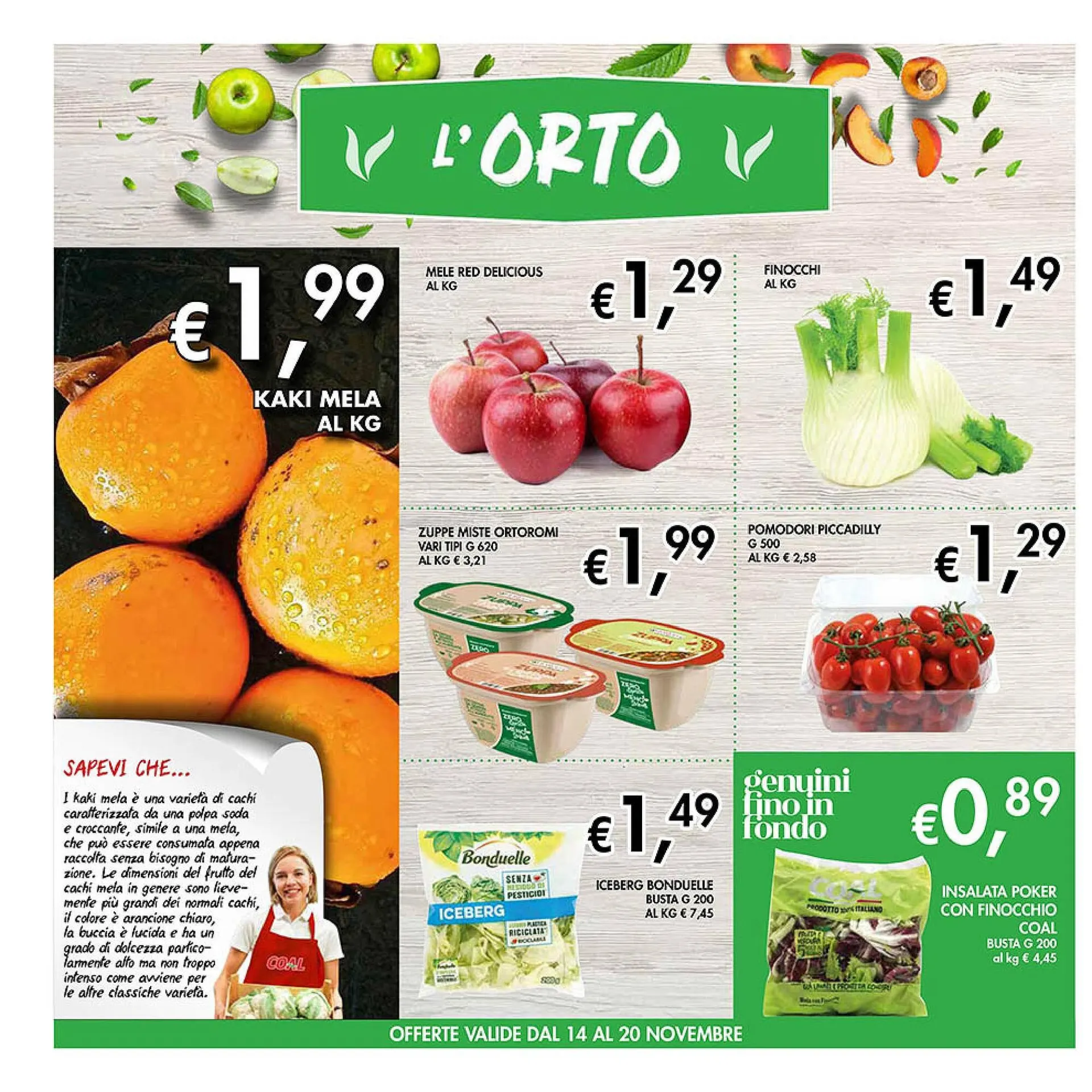 Volantino Coal da 14 novembre a 27 novembre di 2025 - Pagina del volantino 2