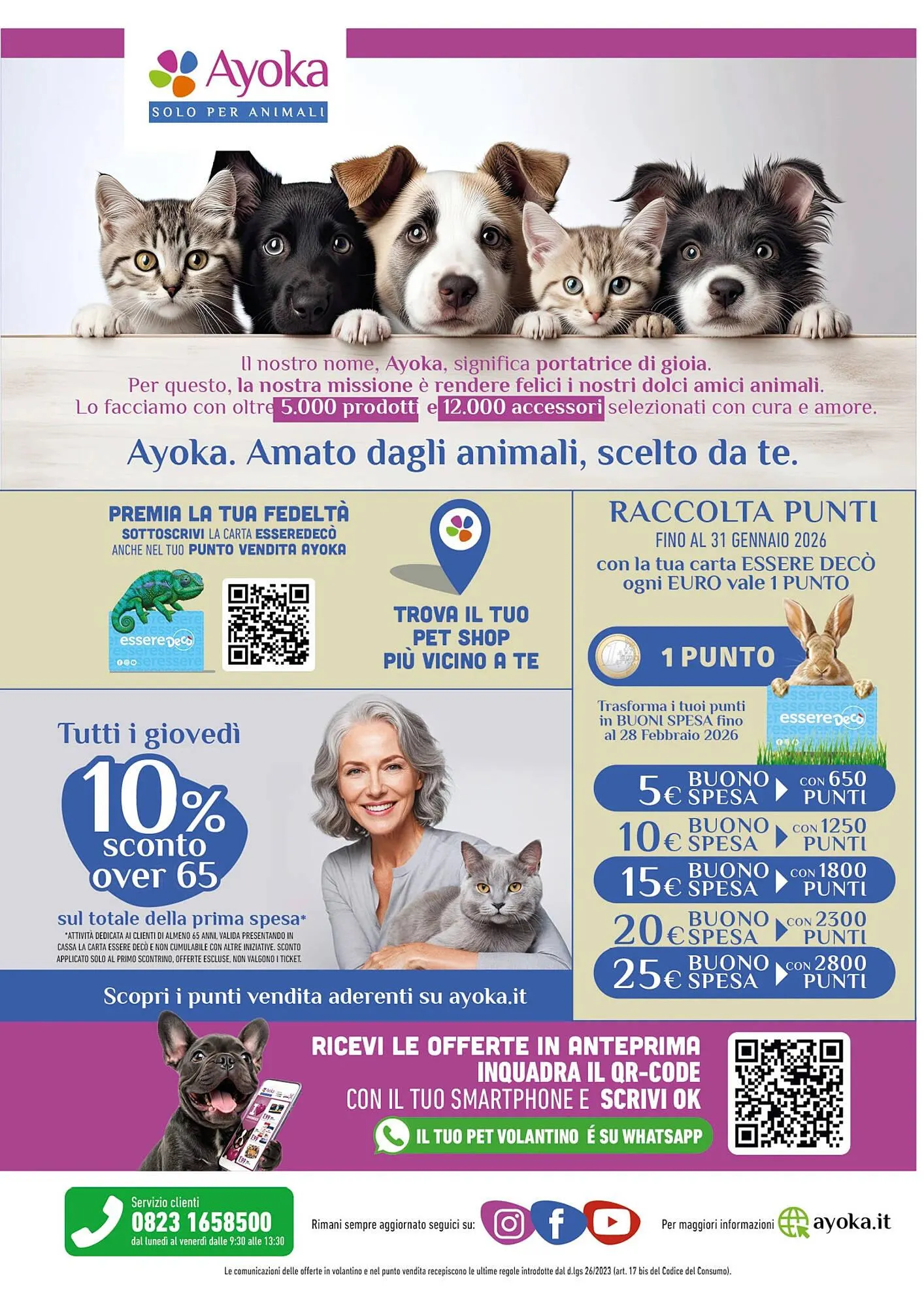 Volantino Ayoka da 24 novembre a 14 dicembre di 2025 - Pagina del volantino 12