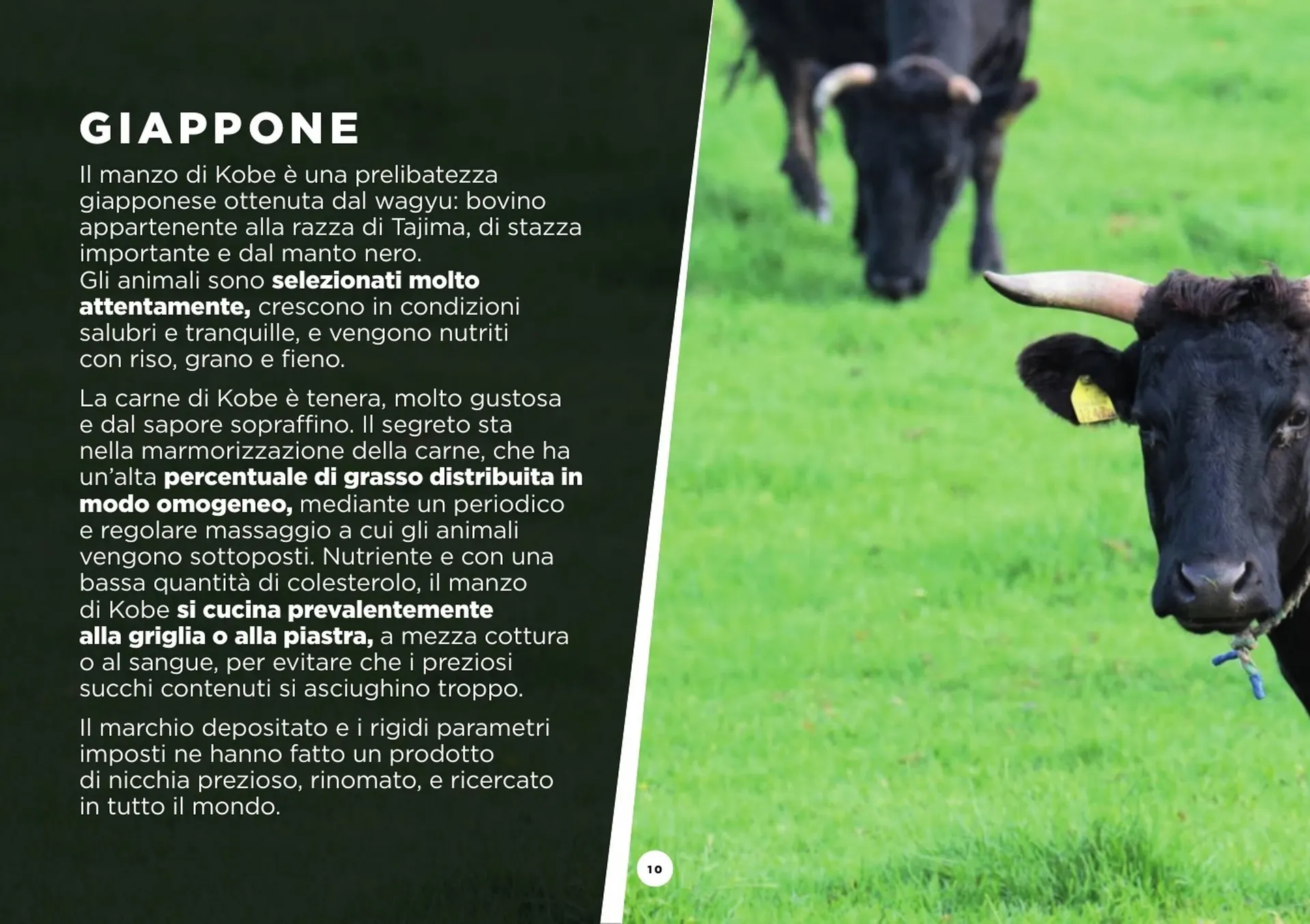 Volantino SoGeGross da 13 dicembre a 27 aprile di 2025 - Pagina del volantino 10