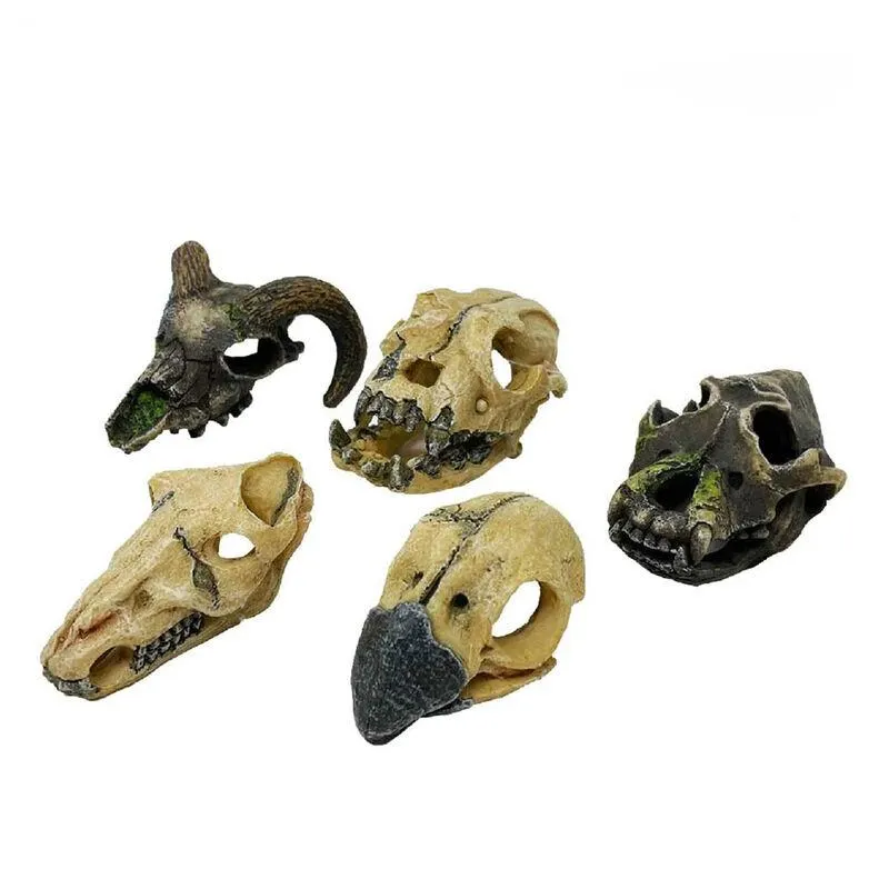 Blu Bios Decorazione Teschio Animale Mini