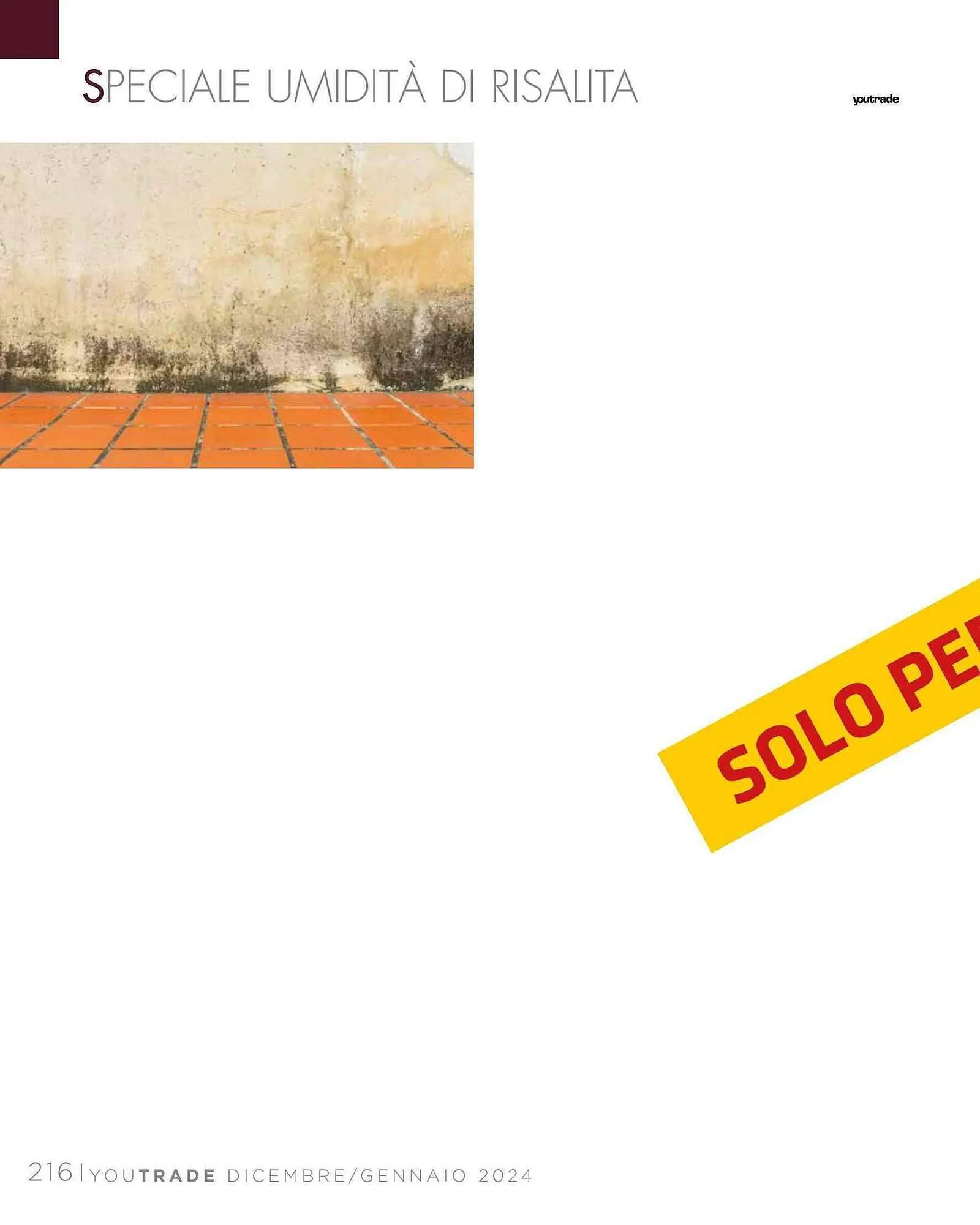 Volantino BigMat da 25 gennaio a 31 gennaio di 2024 - Pagina del volantino 218