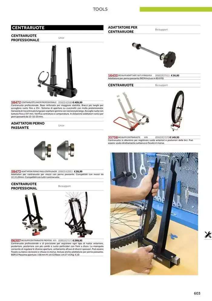Catalogo ricambi ed accessori da 20 novembre a 31 dicembre di 2025 - Pagina del volantino 487