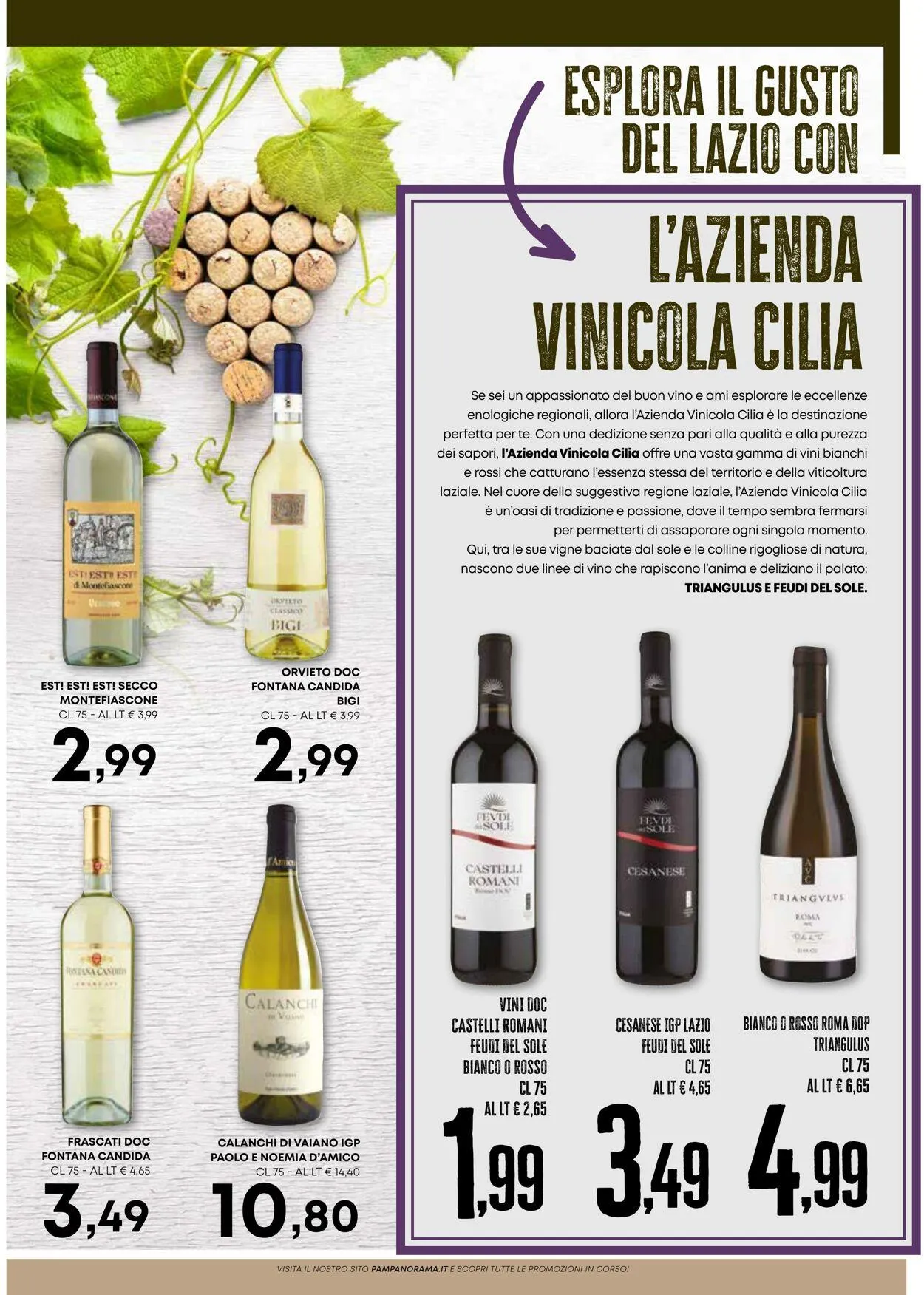 Pam Panorama Volantino attuale da 4 dicembre a 18 dicembre di 2025 - Pagina del volantino 10