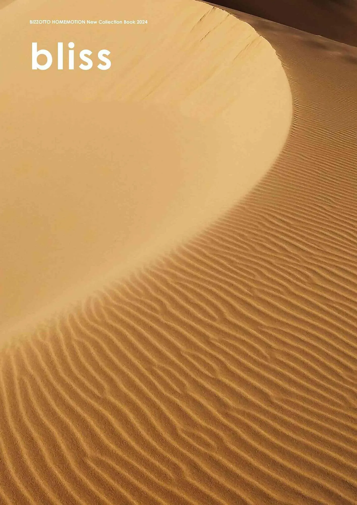 Volantino Bizzotto da 7 febbraio a 28 dicembre di 2024 - Pagina del volantino 5