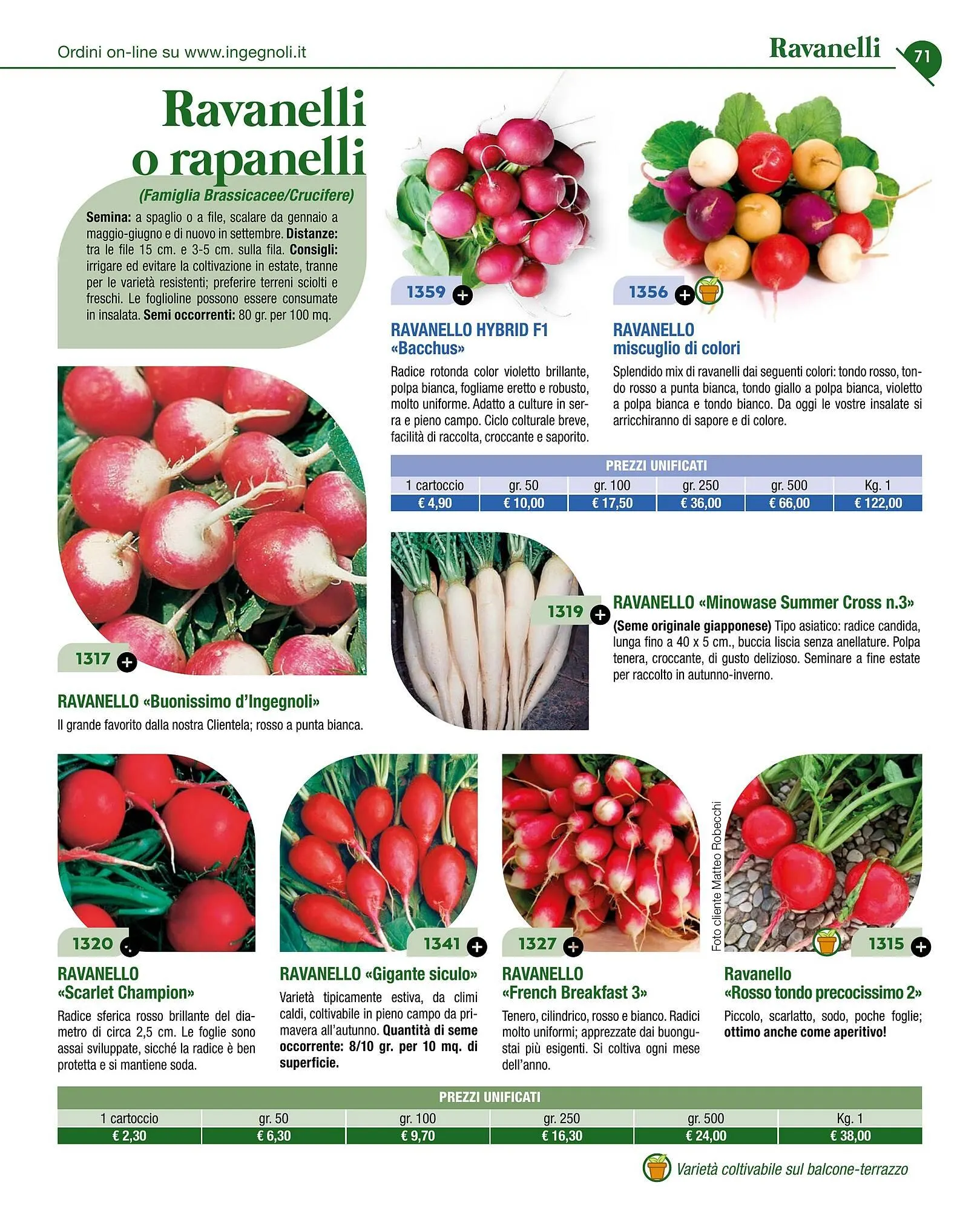 Volantino Ingegnoli da 4 novembre a 31 dicembre di 2025 - Pagina del volantino 73