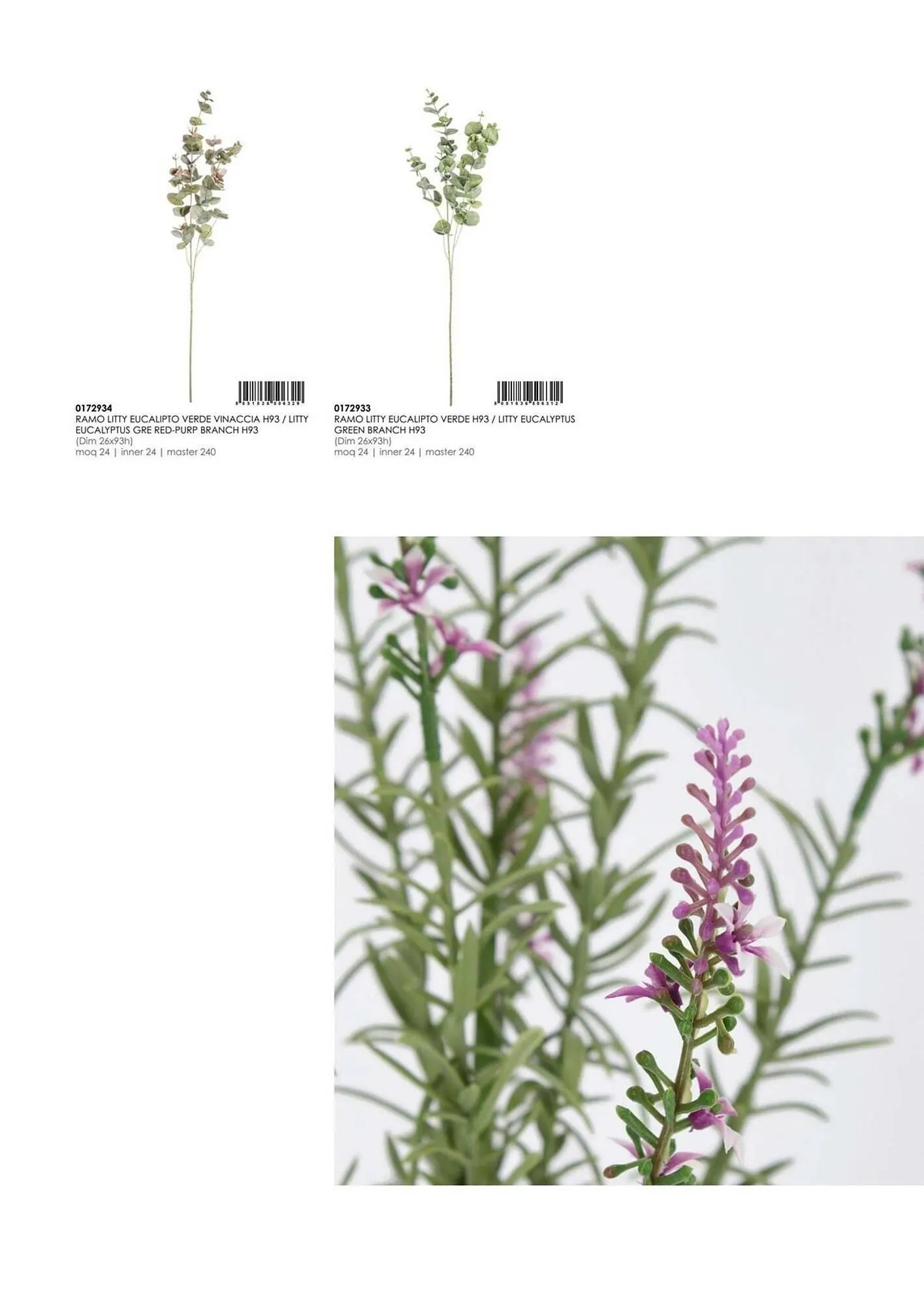 Volantino Bizzotto da 21 gennaio a 31 dicembre di 2025 - Pagina del volantino 185