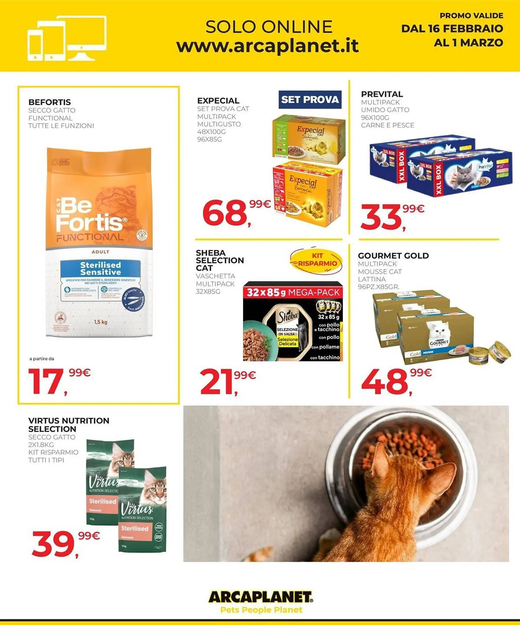Volantino Arcaplanet da 16 febbraio a 28 febbraio di 2026 - Pagina del volantino 38