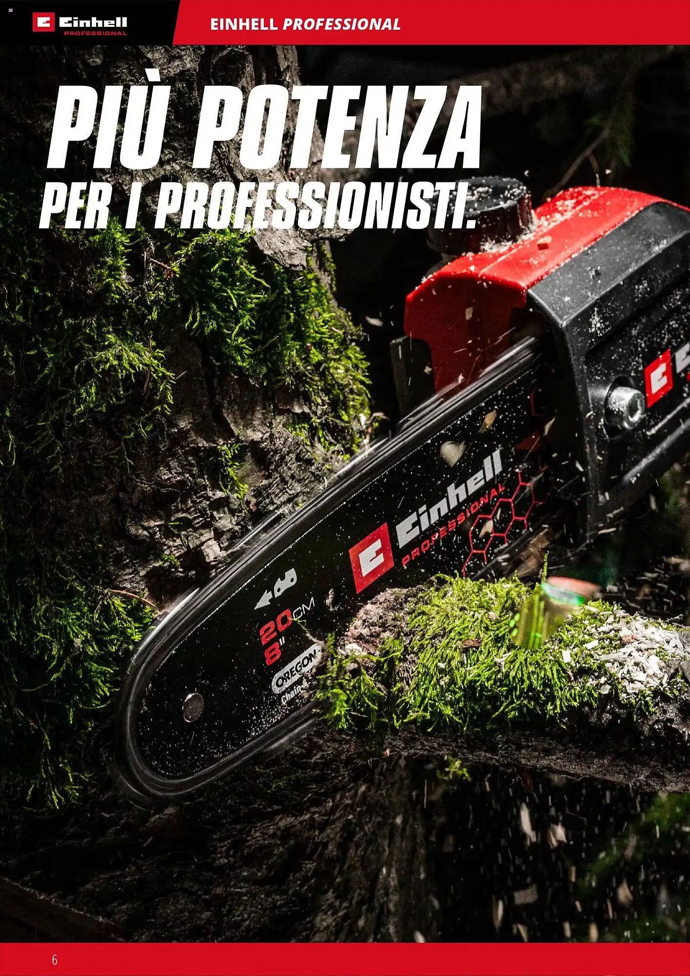 Volantino Einhell da 17 marzo a 31 dicembre di 2026 - Pagina del volantino 8