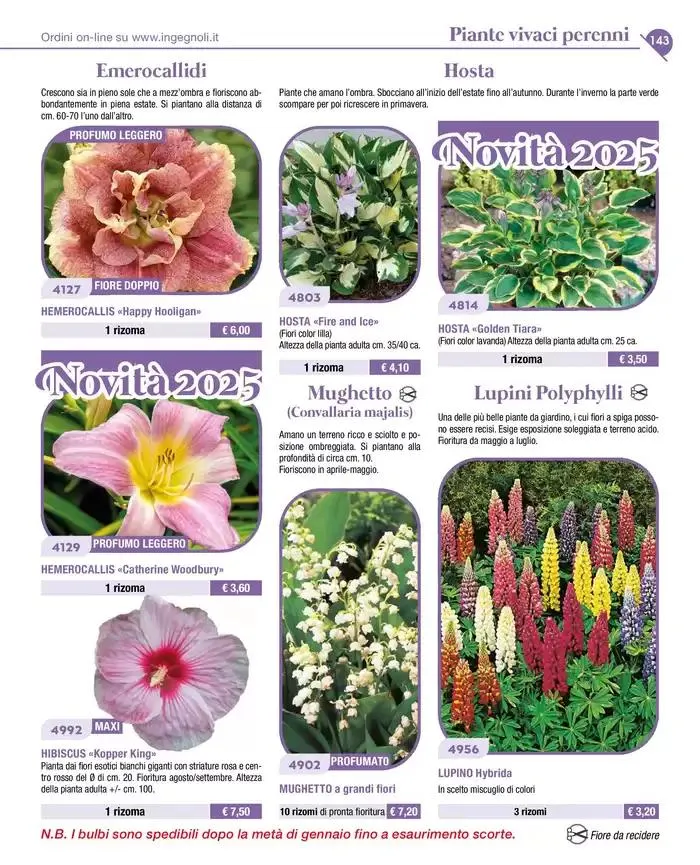 Novita da 4 novembre a 31 dicembre di 2025 - Pagina del volantino 16