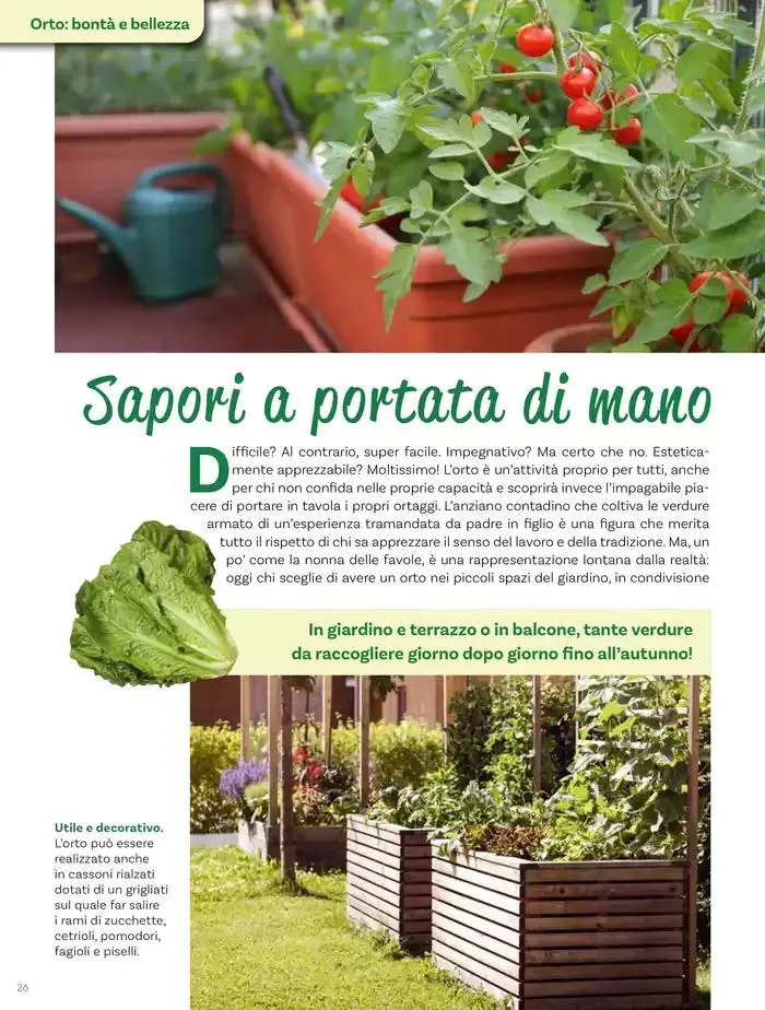 Idee per la vita all' aperto da 18 aprile a 18 maggio di 2025 - Pagina del volantino 26