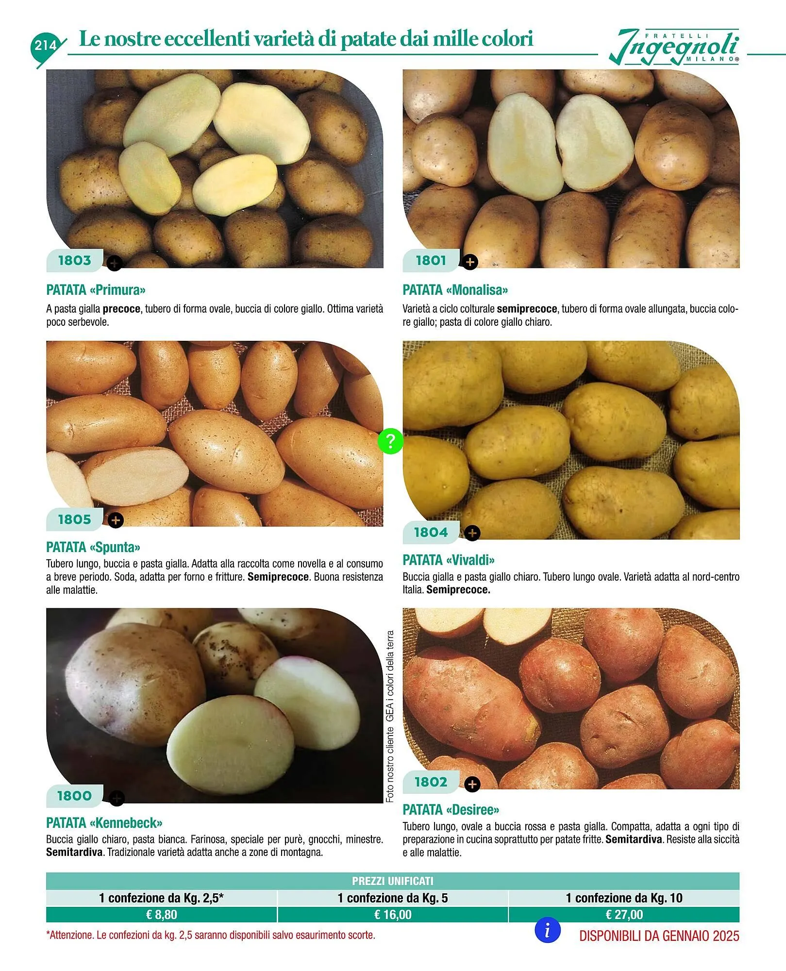 Volantino Ingegnoli da 4 novembre a 31 dicembre di 2025 - Pagina del volantino 216