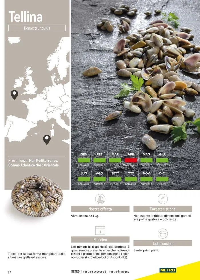 Catalogo Frutti di mare da 11 luglio a 31 luglio di 2025 - Pagina del volantino 17