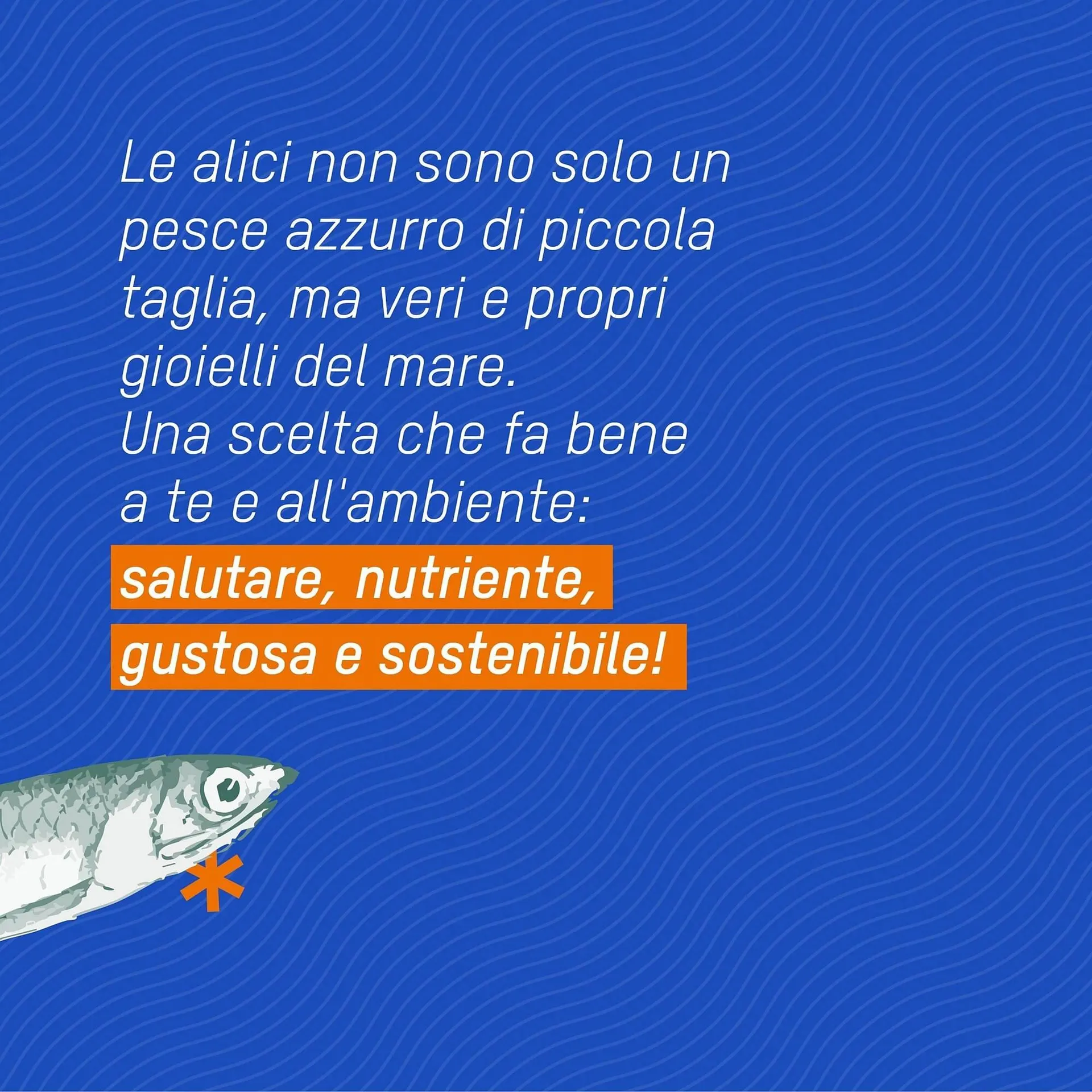 volantino Sole 365 da 2 settembre a 14 settembre di 2025 - Pagina del volantino 2