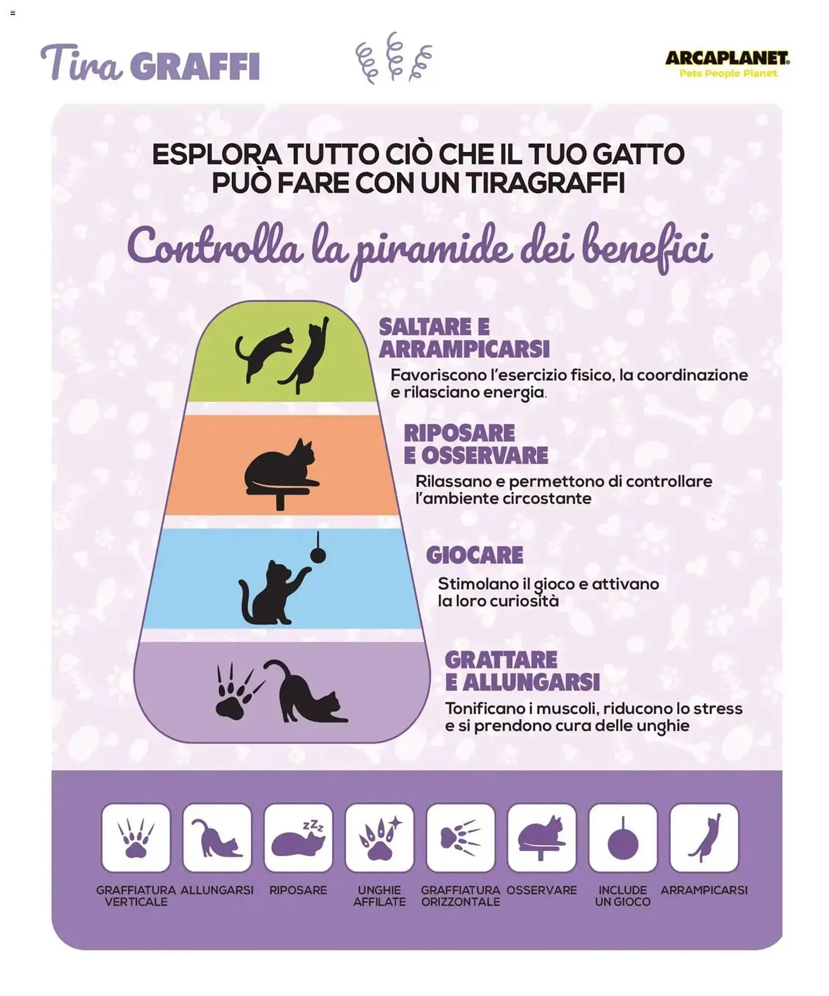 Volantino Arcaplanet da 1 novembre a 28 febbraio di 2026 - Pagina del volantino 8