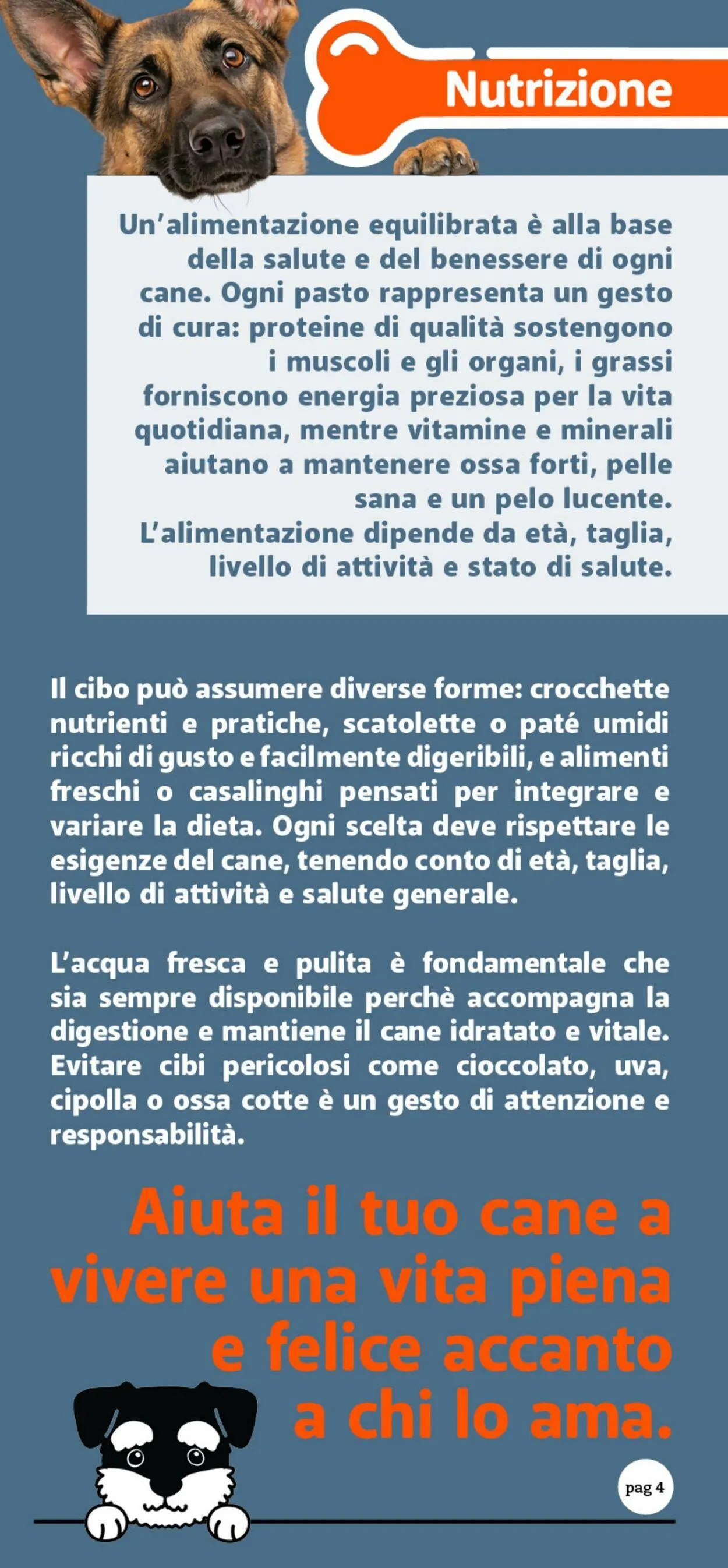 Famila Volantino attuale da 24 ottobre a 9 novembre di 2025 - Pagina del volantino 4