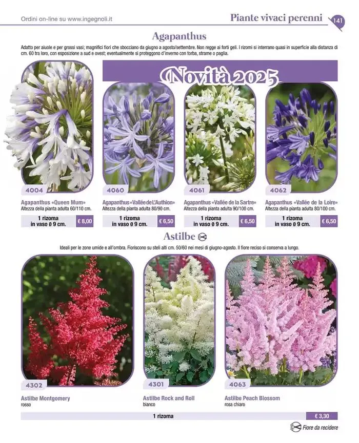 Catalogo guida 2025 da 20 gennaio a 31 dicembre di 2025 - Pagina del volantino 143