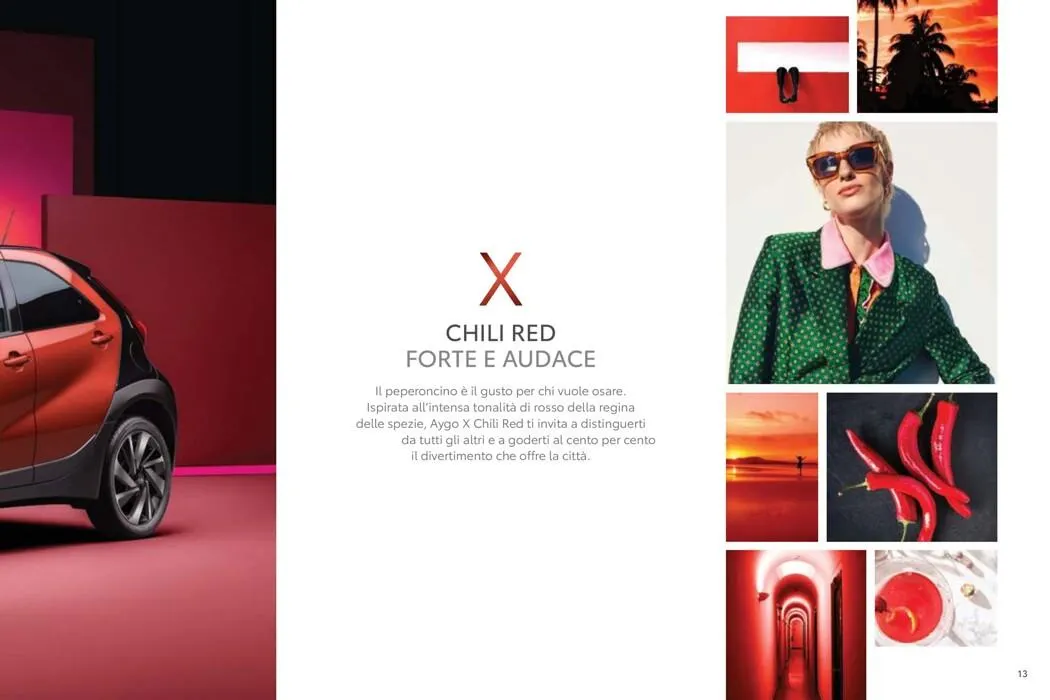 Offerte da 15 maggio a 31 gennaio di 2028 - Pagina del volantino 13