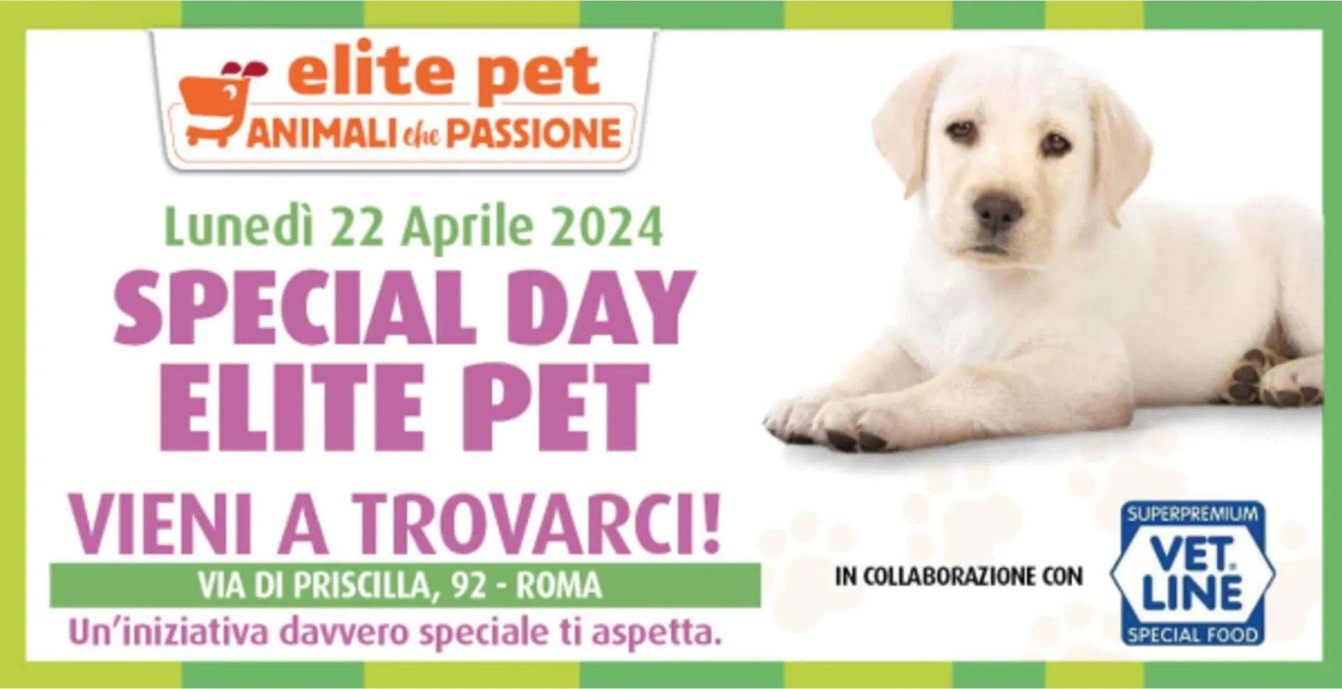 Volantino Elite Pet - 1