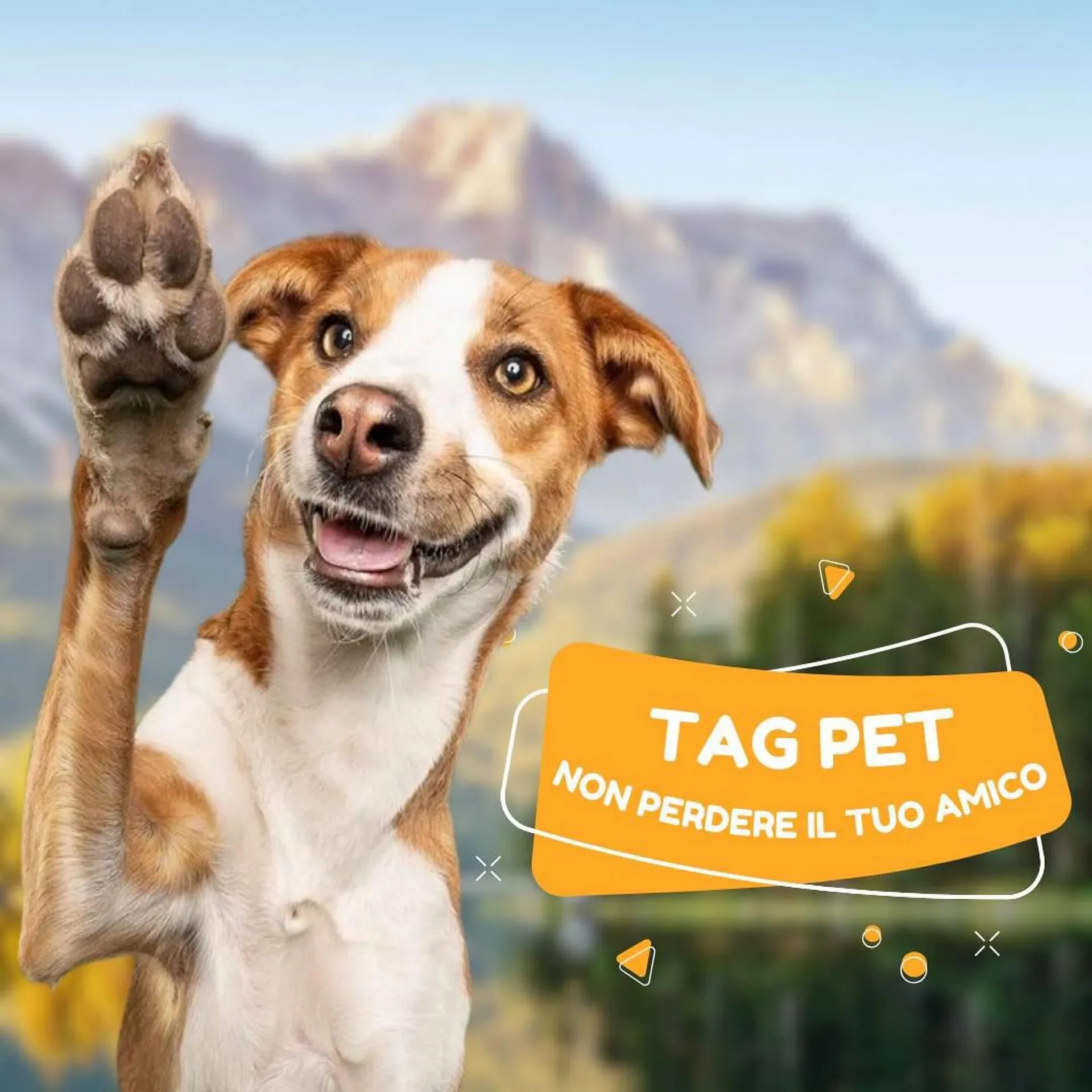 Volantino Moby Dick - 1