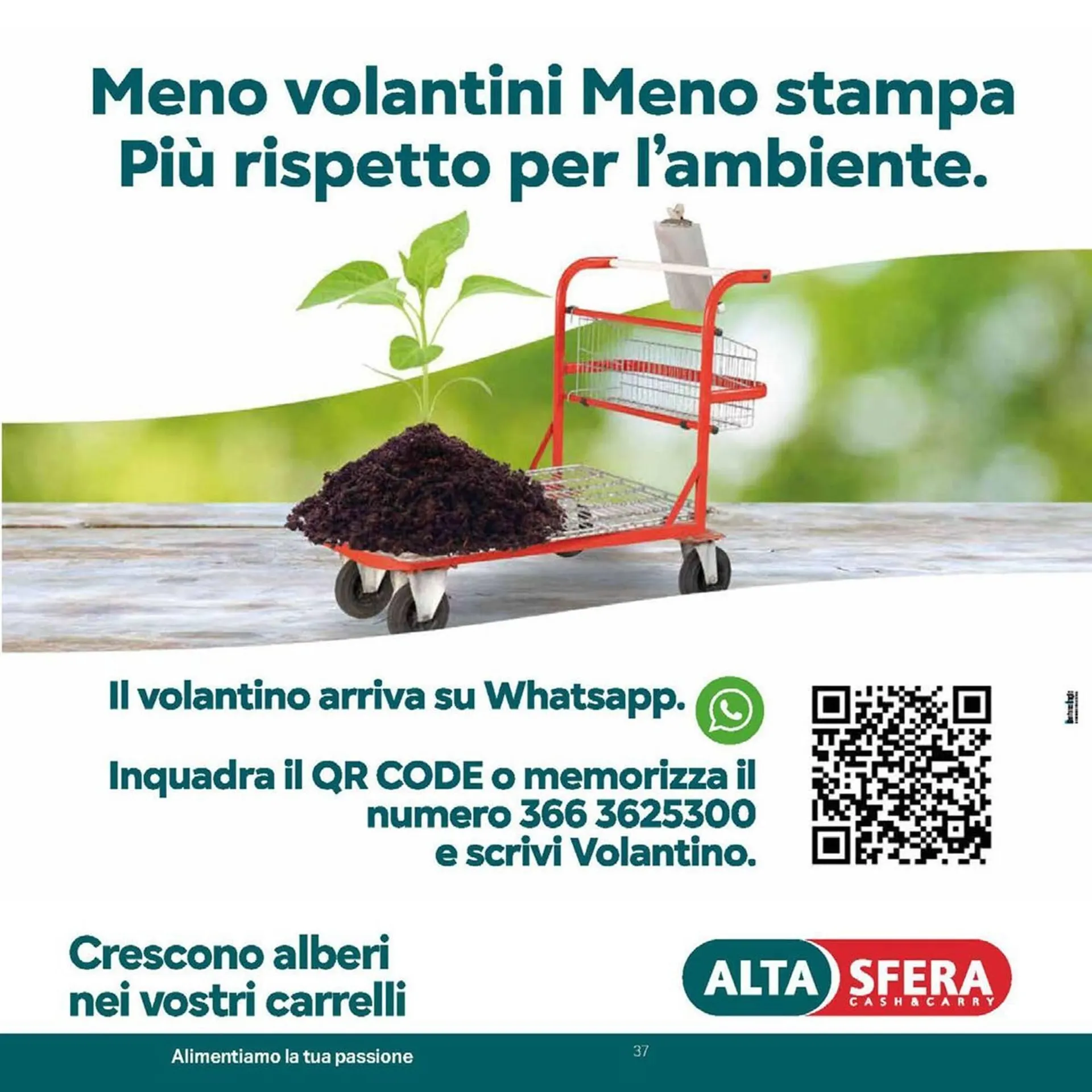 Volantino Altasfera da 4 dicembre a 6 gennaio di 2026 - Pagina del volantino 37