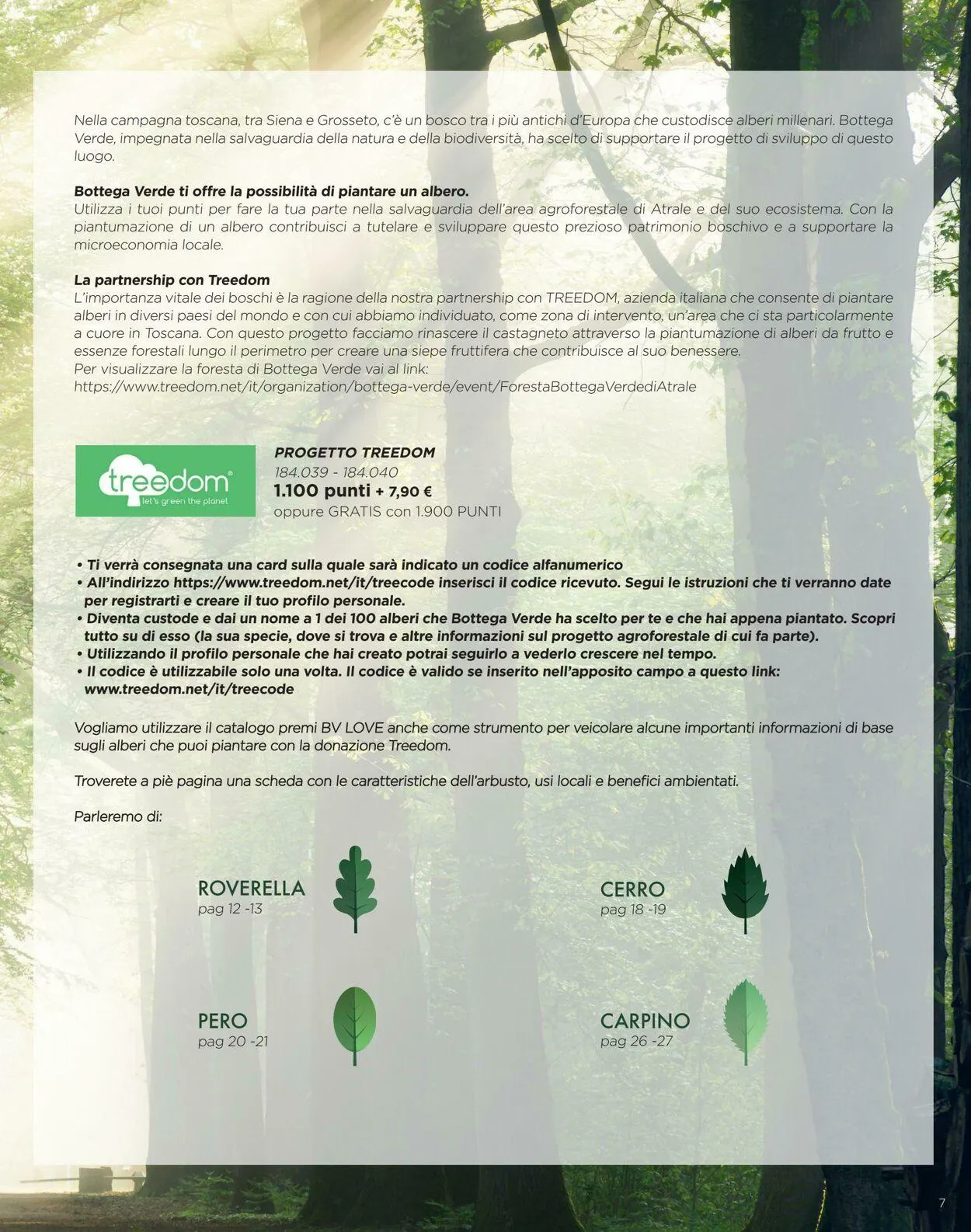 Bottega Verde da 24 aprile a 24 settembre di 2025 - Pagina del volantino 7