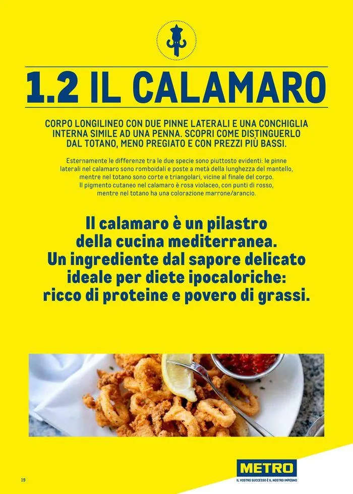 Catalogo Surgelati 2024 da 21 maggio a 31 maggio di 2025 - Pagina del volantino 19