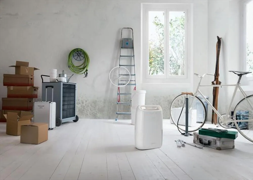 DE LONGHI - Deumidificatore DEX210SF-BIANCO