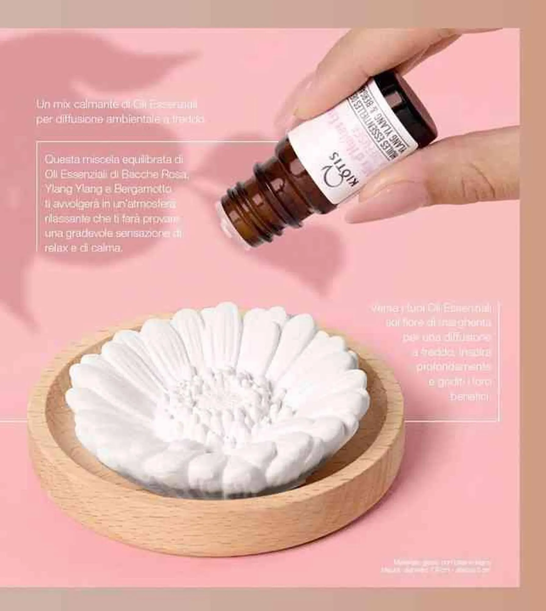 Volantino Stanhome da 13 novembre a 29 novembre di 2024 - Pagina del volantino 62