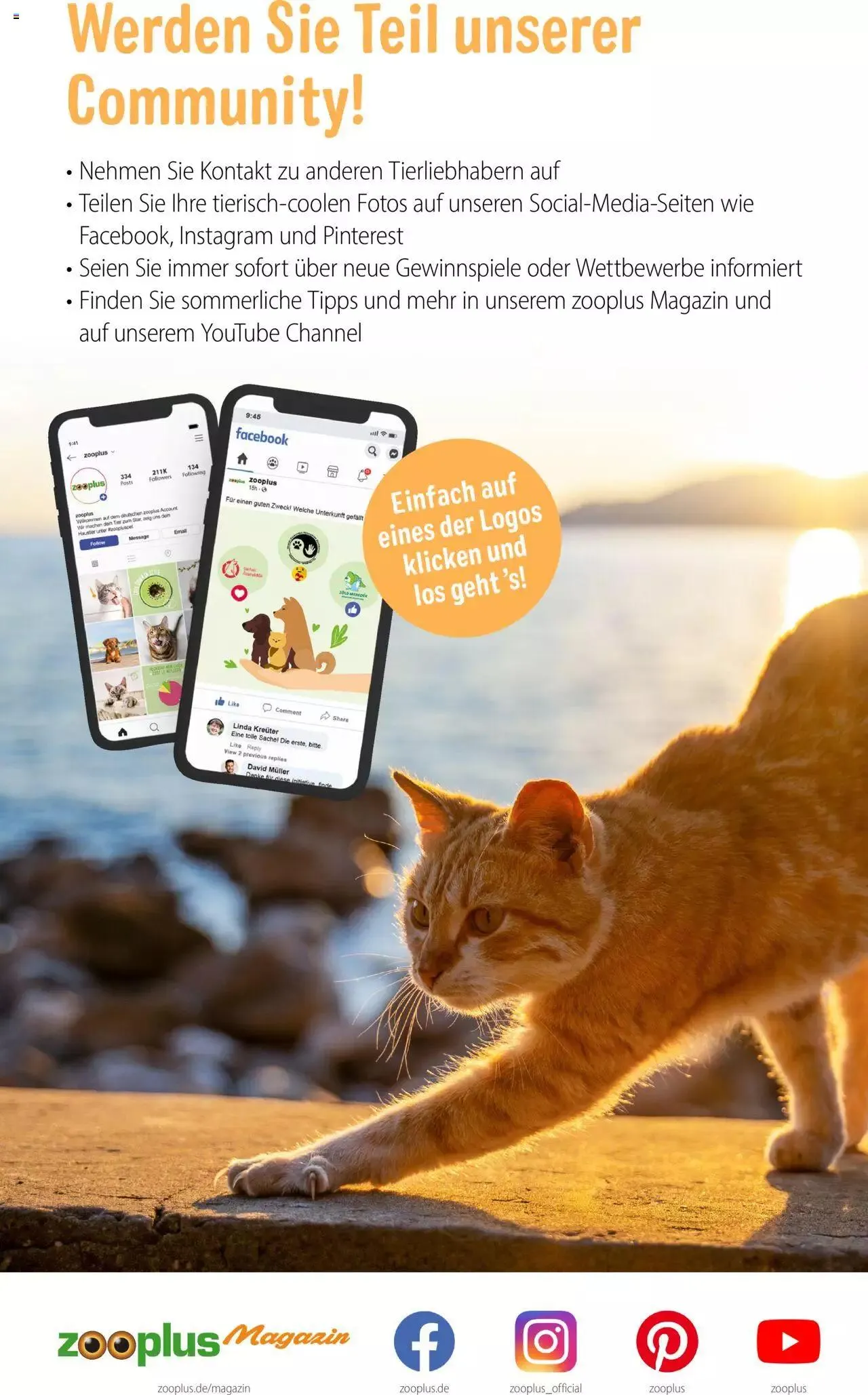 Volantino Zooplus da 1 luglio a 31 agosto di 2023 - Pagina del volantino 41