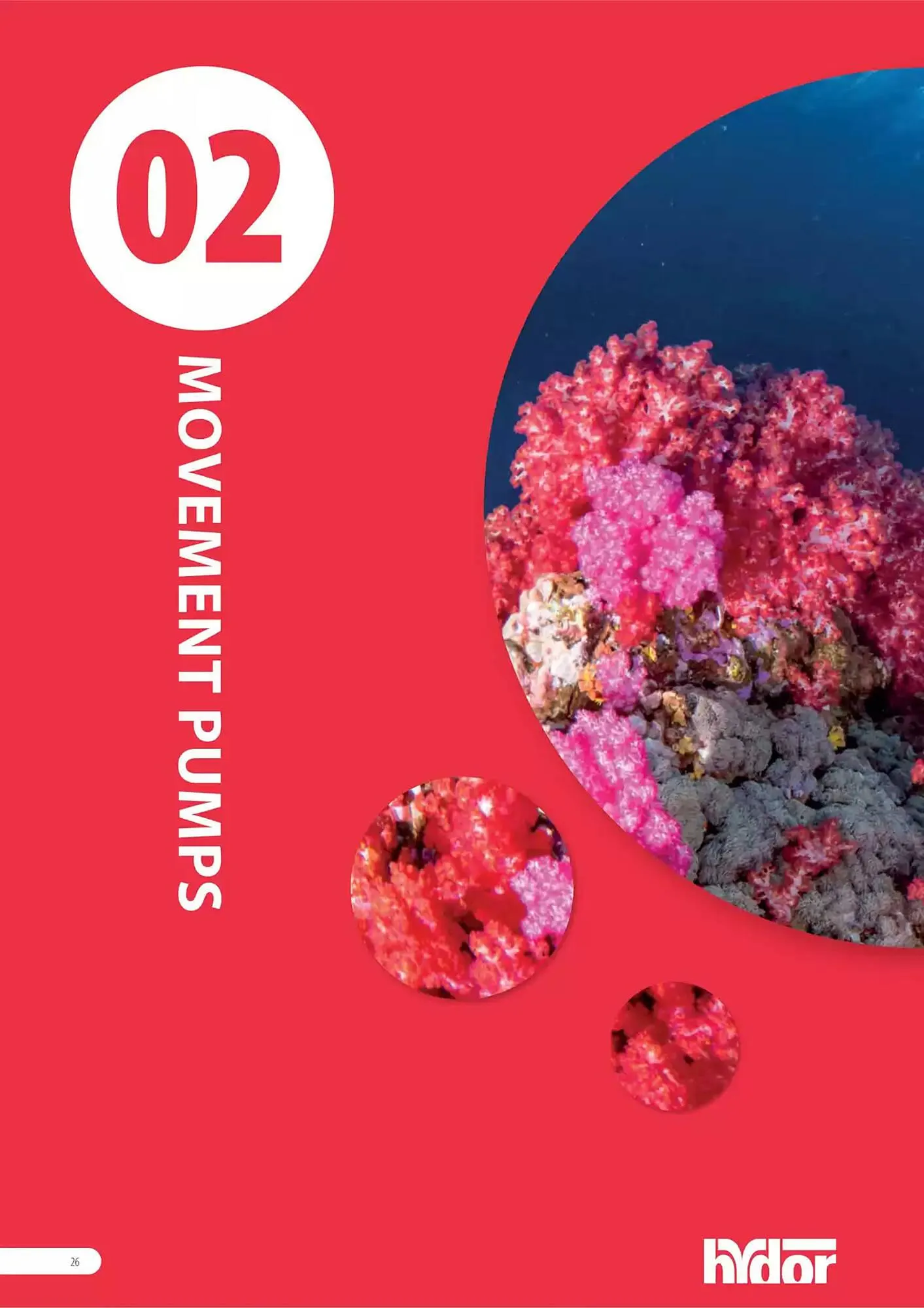 Volantino Ferplast da 13 dicembre a 31 dicembre di 2026 - Pagina del volantino 27