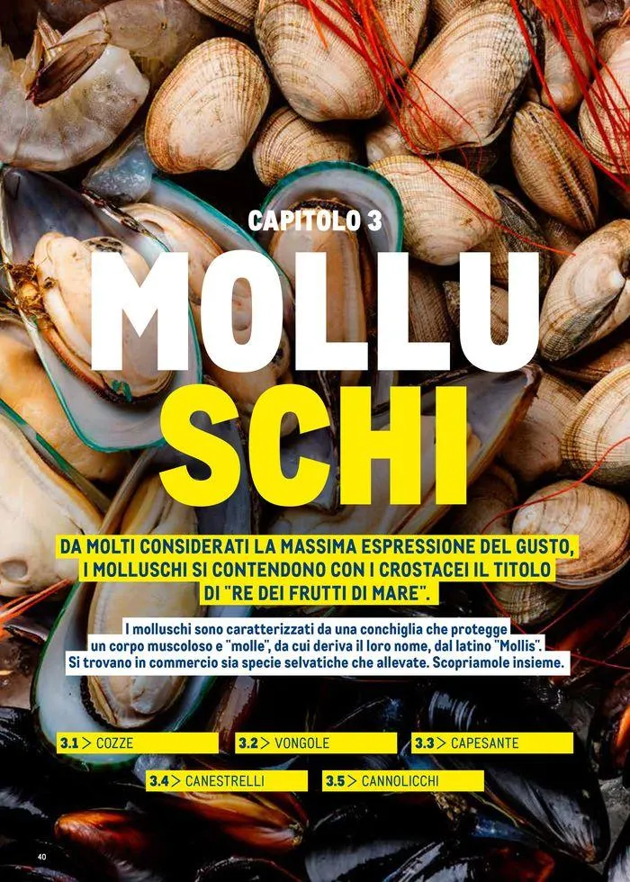 Catalogo Surgelati 2024 da 21 maggio a 31 maggio di 2025 - Pagina del volantino 40