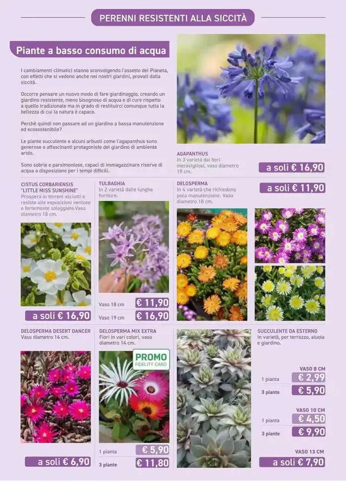 Festa di Primavera da 13 marzo a 13 aprile di 2025 - Pagina del volantino 5