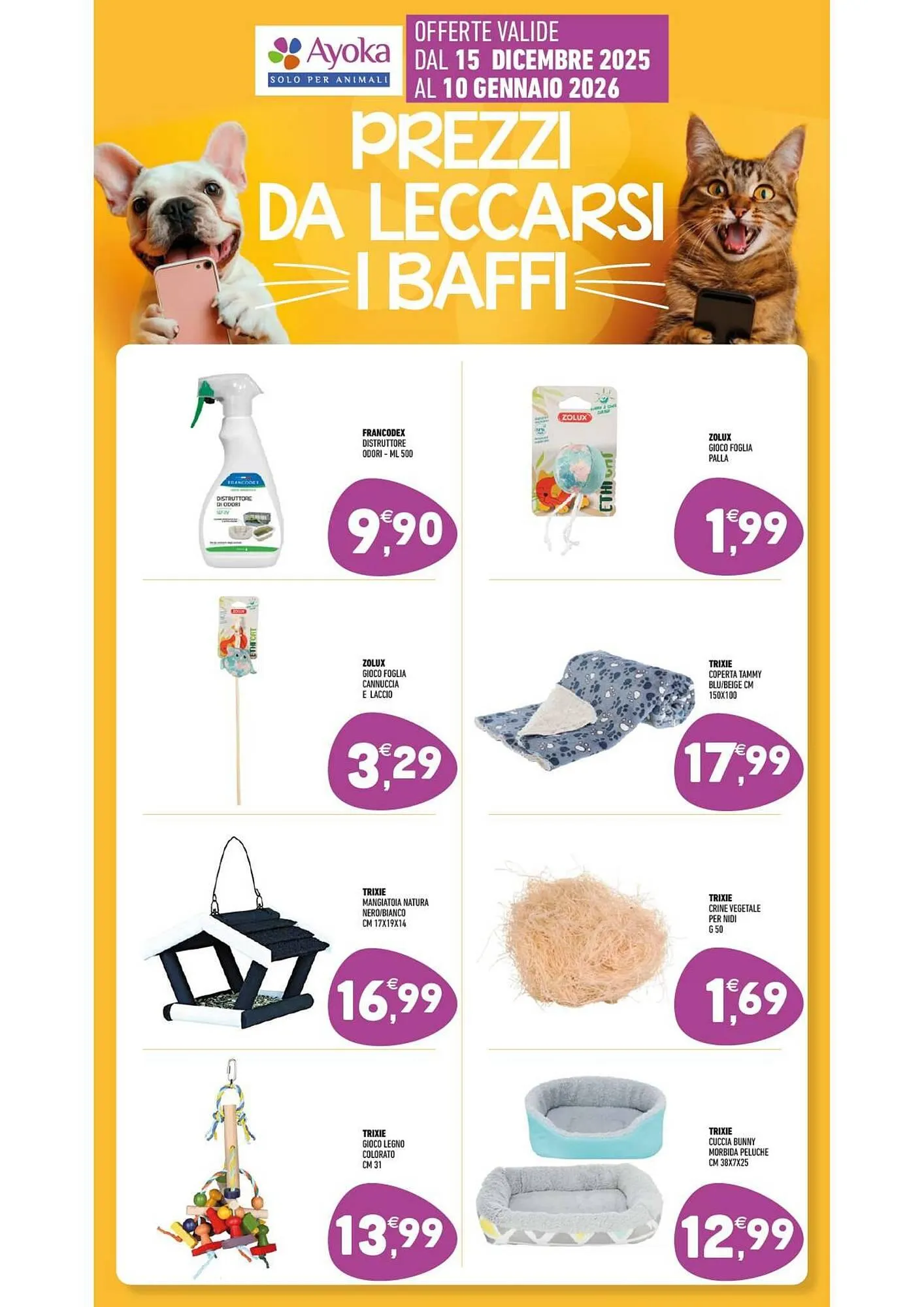 Volantino Ayoka da 15 dicembre a 10 gennaio di 2026 - Pagina del volantino 13