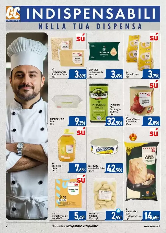 PROFESSIONAL da 24 marzo a 20 aprile di 2025 - Pagina del volantino 2