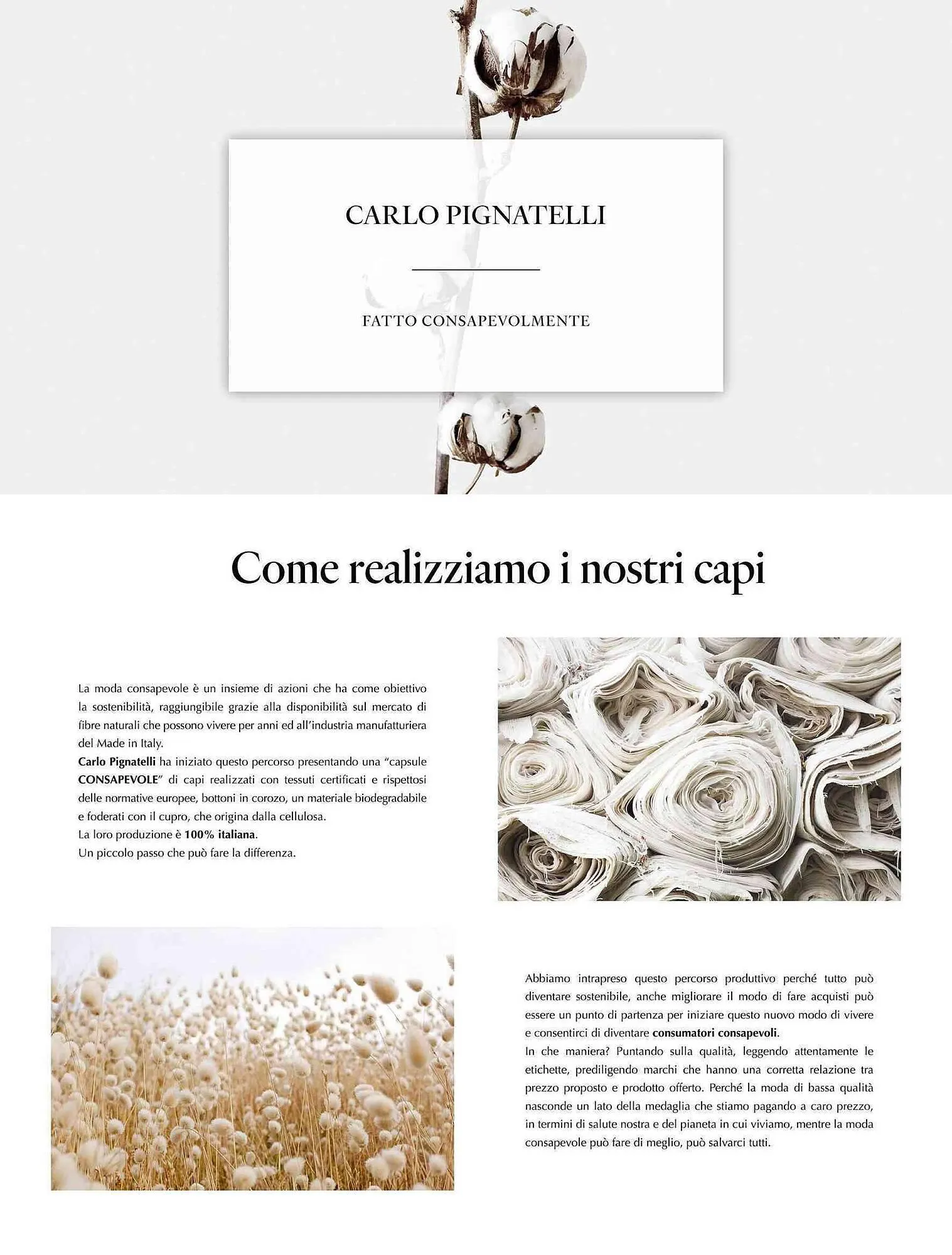 Volantino Carlo Pignatelli da 1 febbraio a 15 febbraio di 2024 - Pagina del volantino 46