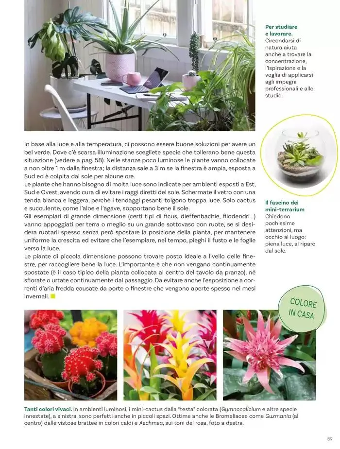 Idee per la vita all' aperto da 18 aprile a 18 maggio di 2025 - Pagina del volantino 59