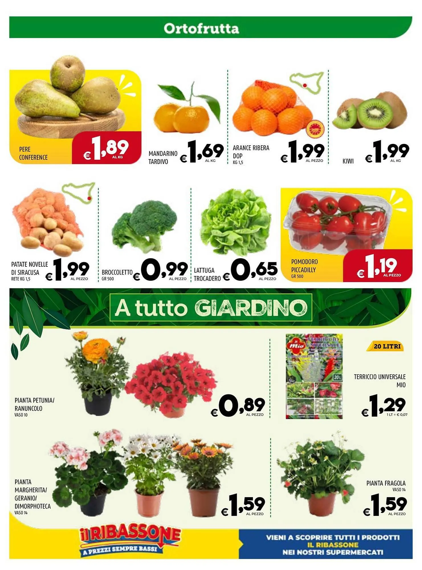 Volantino Il Centesimo da 12 marzo a 21 marzo di 2024 - Pagina del volantino 4