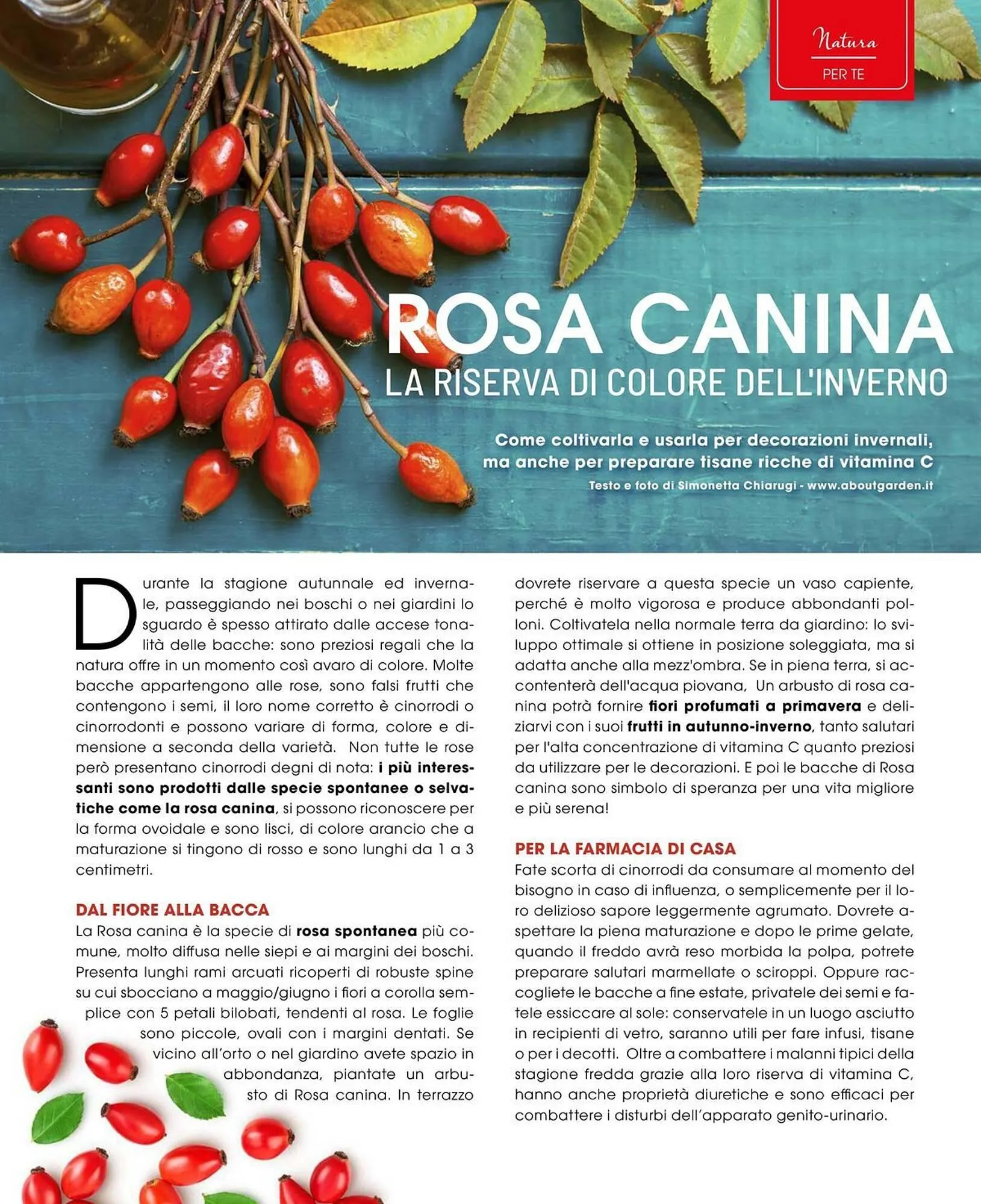 Volantino A&O da 1 novembre a 31 dicembre di 2025 - Pagina del volantino 60