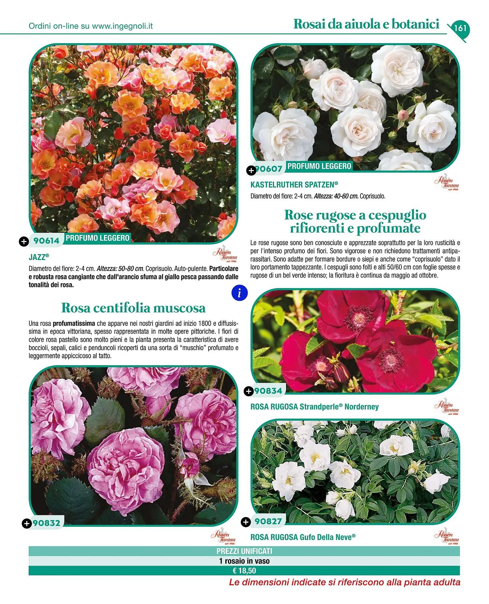 Volantino Ingegnoli da 4 novembre a 31 dicembre di 2025 - Pagina del volantino 163