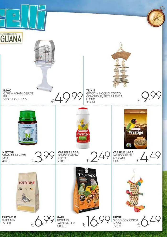 I megastore degli animali da 31 luglio a 25 agosto di 2024 - Pagina del volantino 19