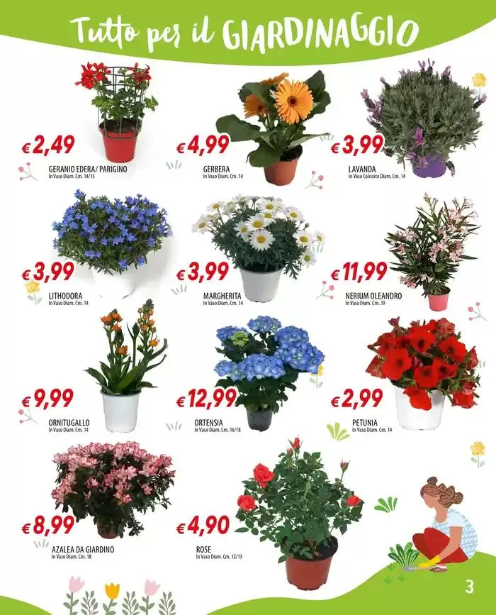 Tutto per il giardinaggio da 17 marzo a 6 aprile di 2025 - Pagina del volantino 3