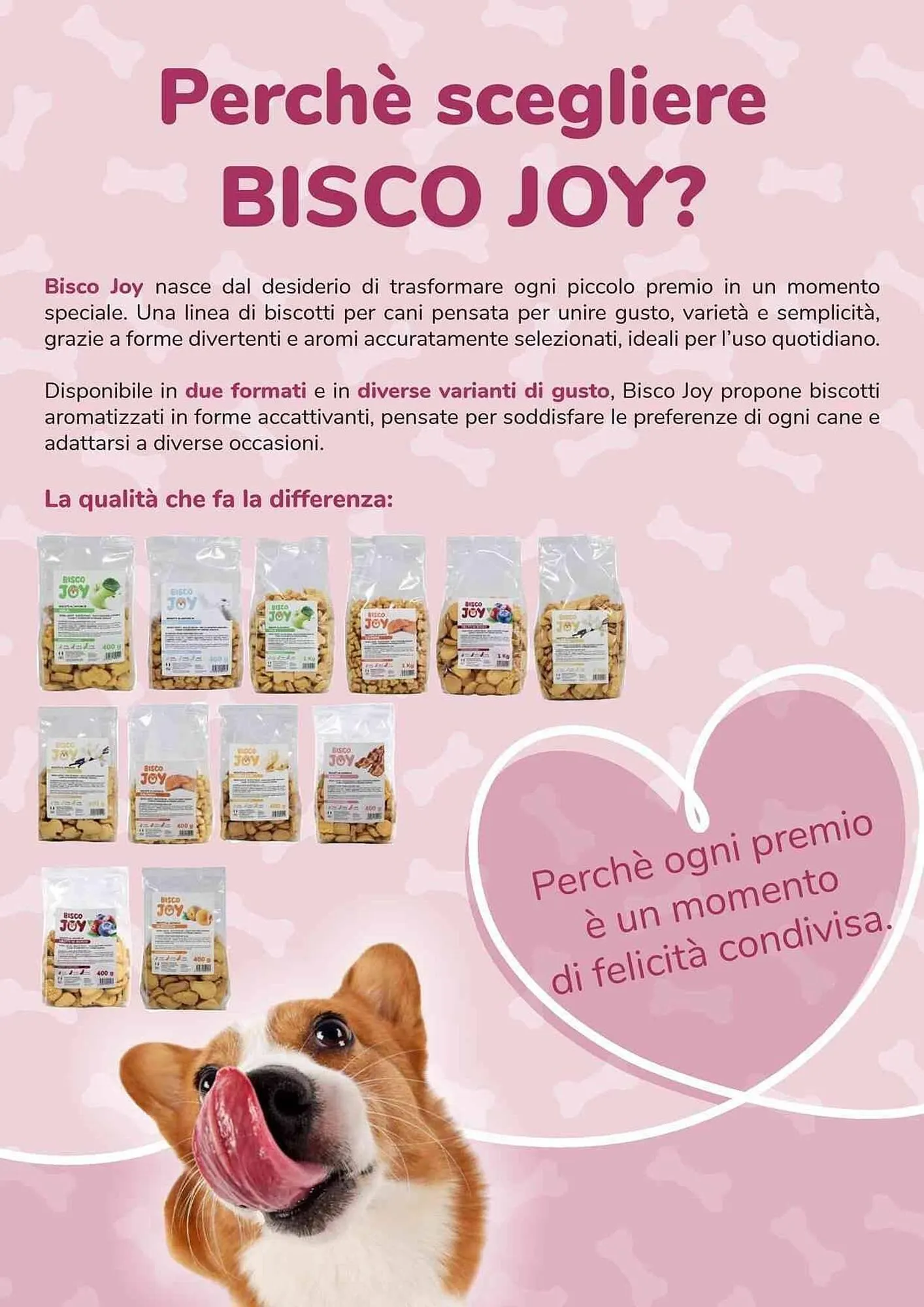 Volantino ZooPlanet da 9 marzo a 29 marzo di 2026 - Pagina del volantino 6