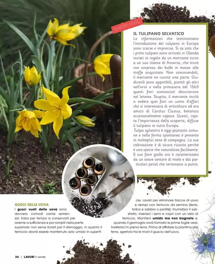 Catalogo A&O da 1 marzo a 30 aprile di 2025 - Pagina del volantino 35